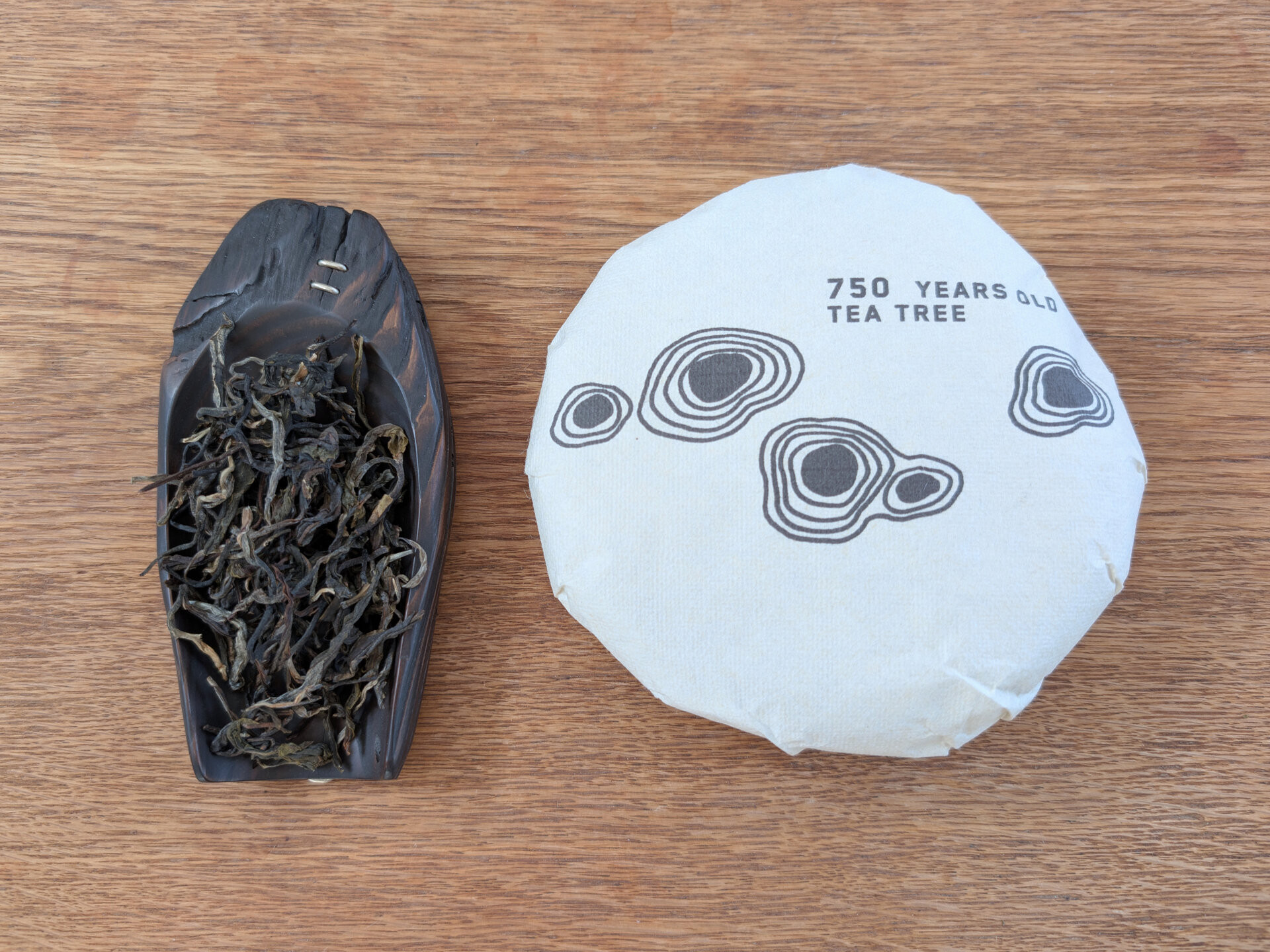 2026 750 years old tea tree (prSK)