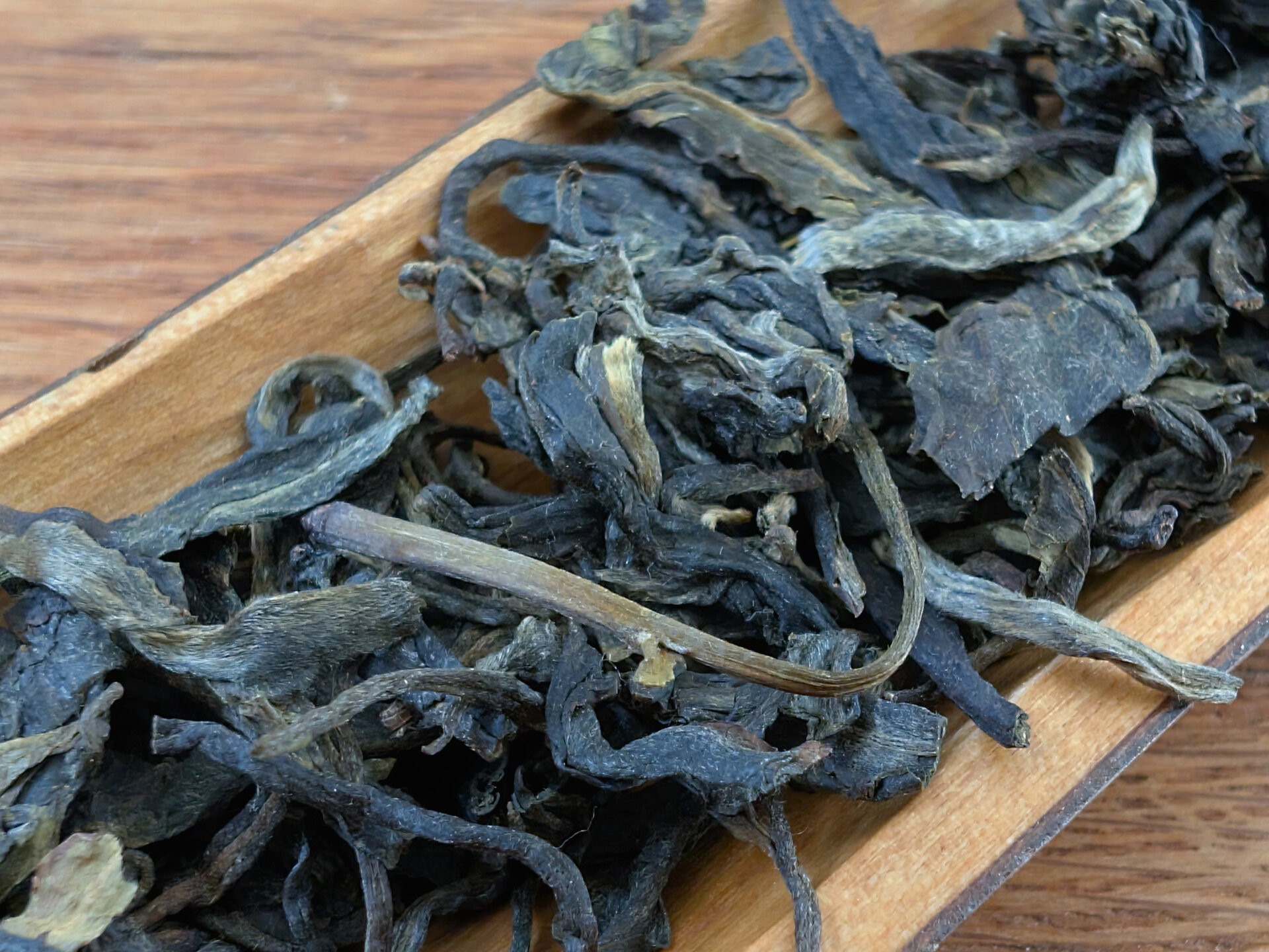 2024 Laos Lush Garden (MT)
