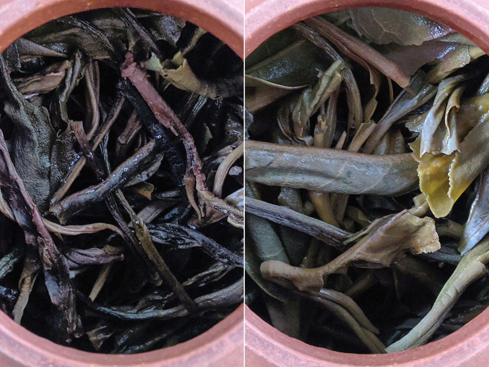 2012 Yiwu HuangYe Autumn (prSK)