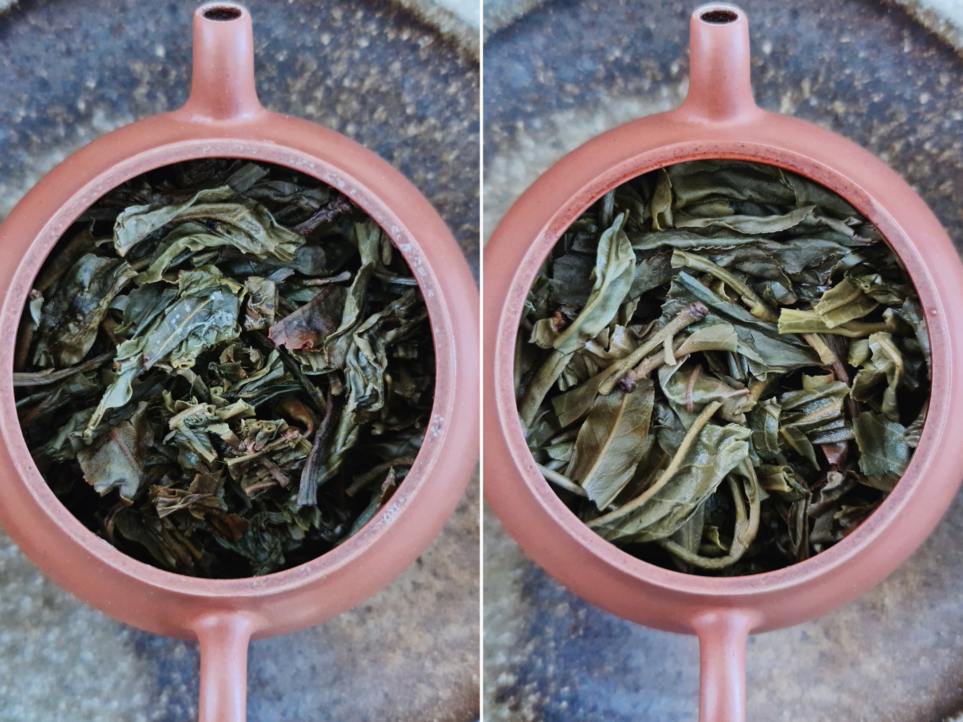 2012 Kunzhushan