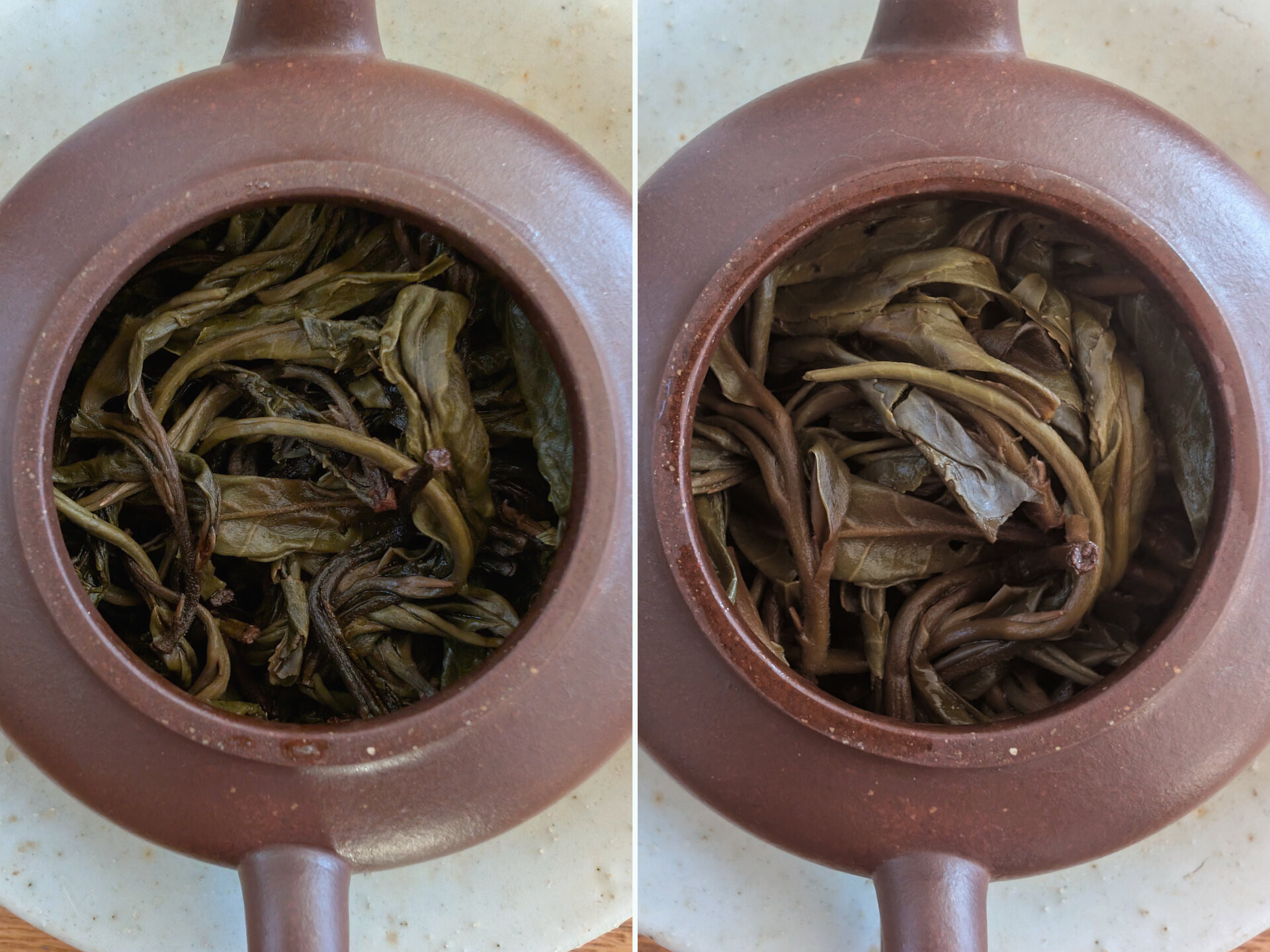 2024 Long Tan Qing (prUK)