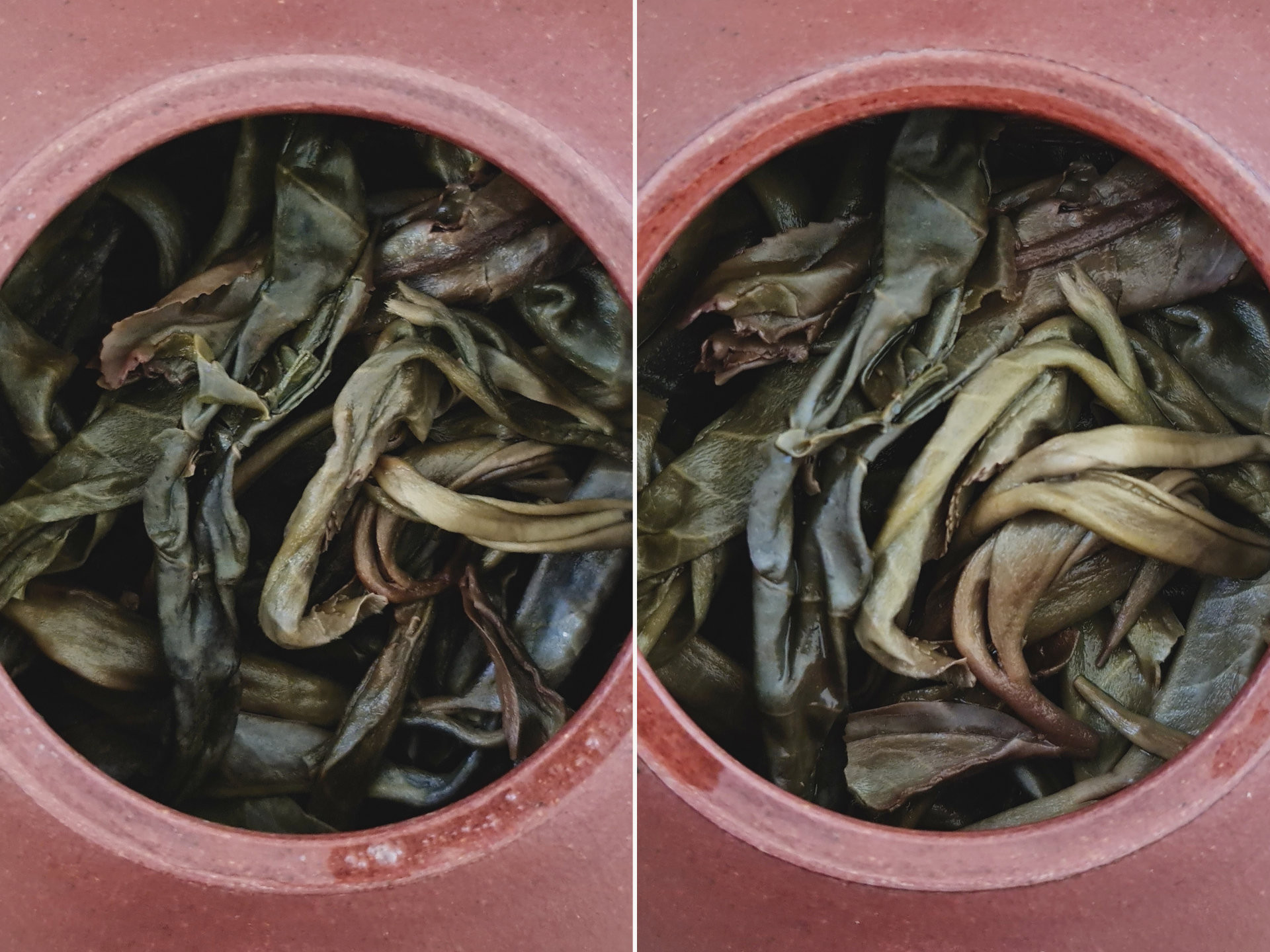 2013 Lao Ban Zhang Gushu (Yu)