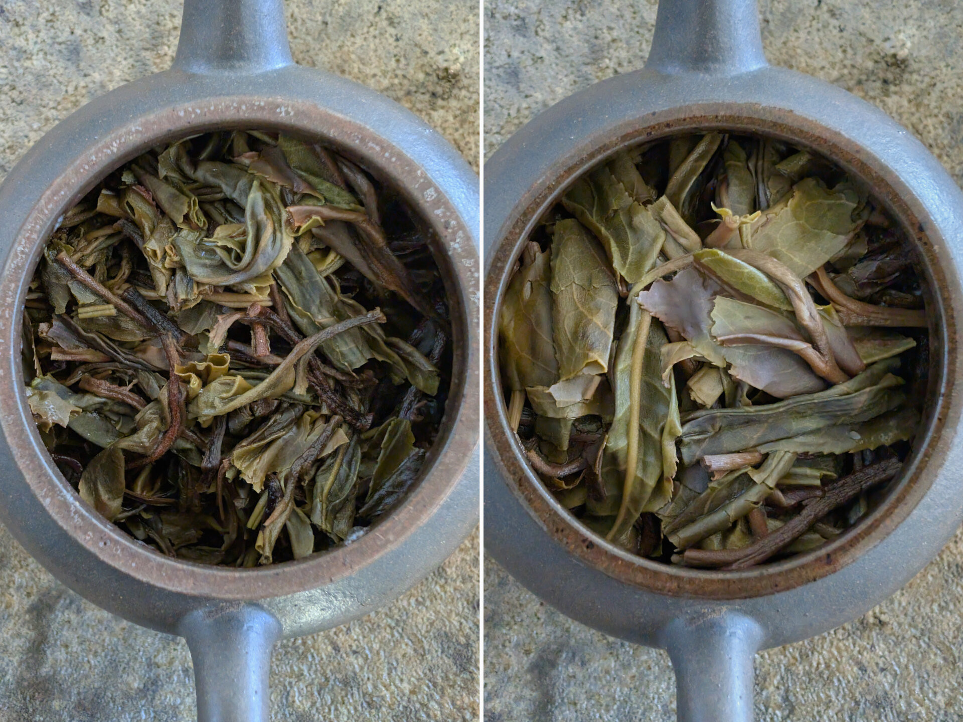 2024 epic virgin early spring maocha bing (prSK)