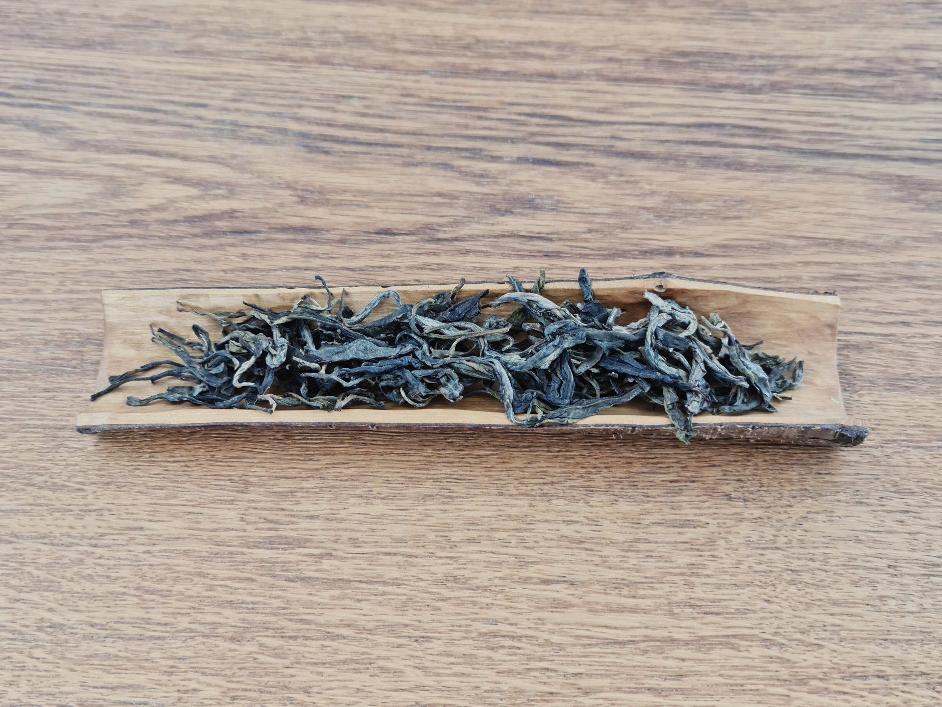 2019 Mang Zhi (TU)