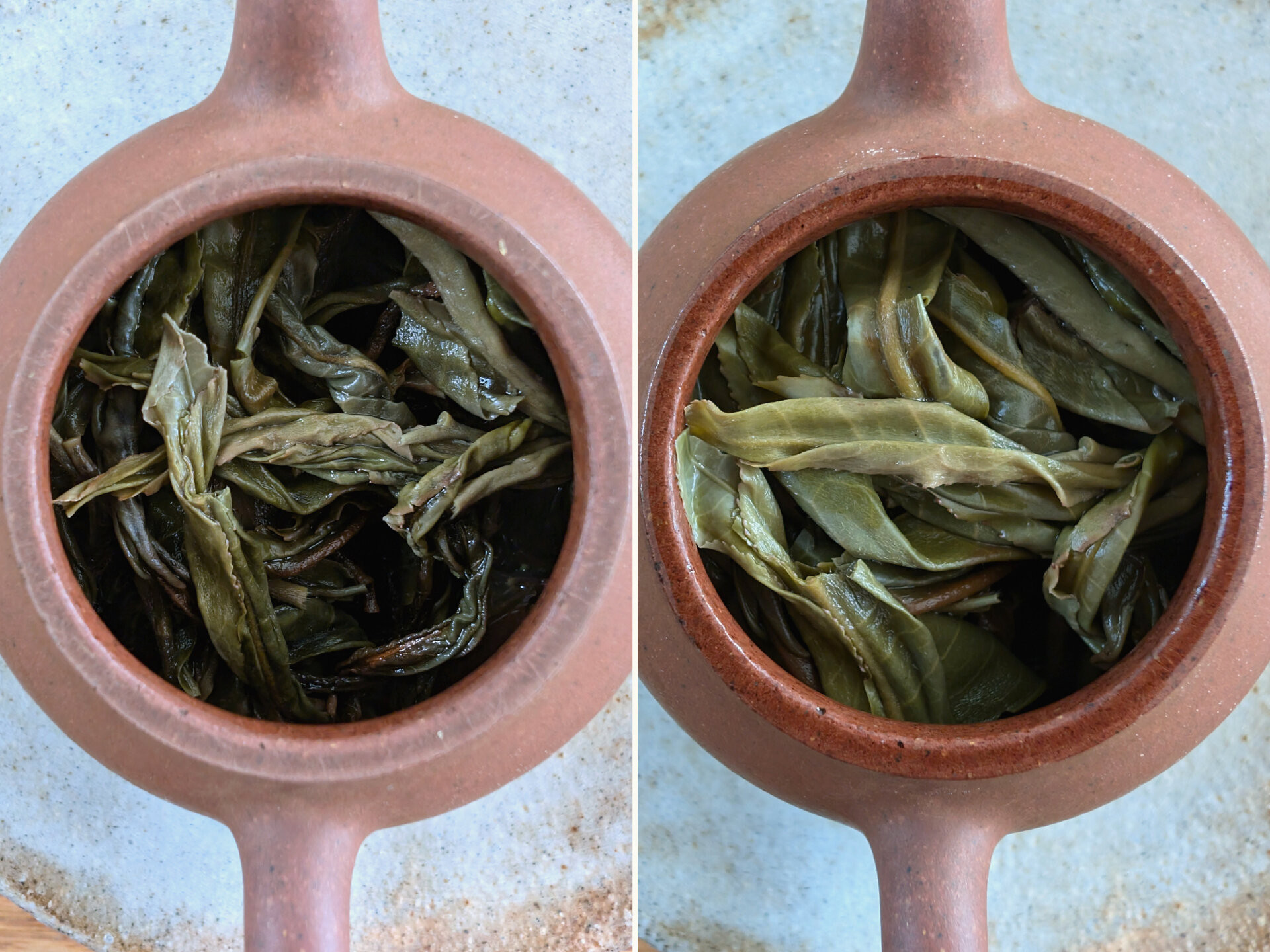 2024 Chenyuan Hao Tianmenshan