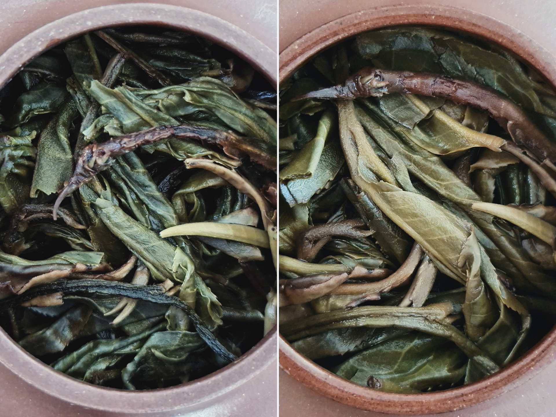 2019 Gao Shan Zhai (TU)