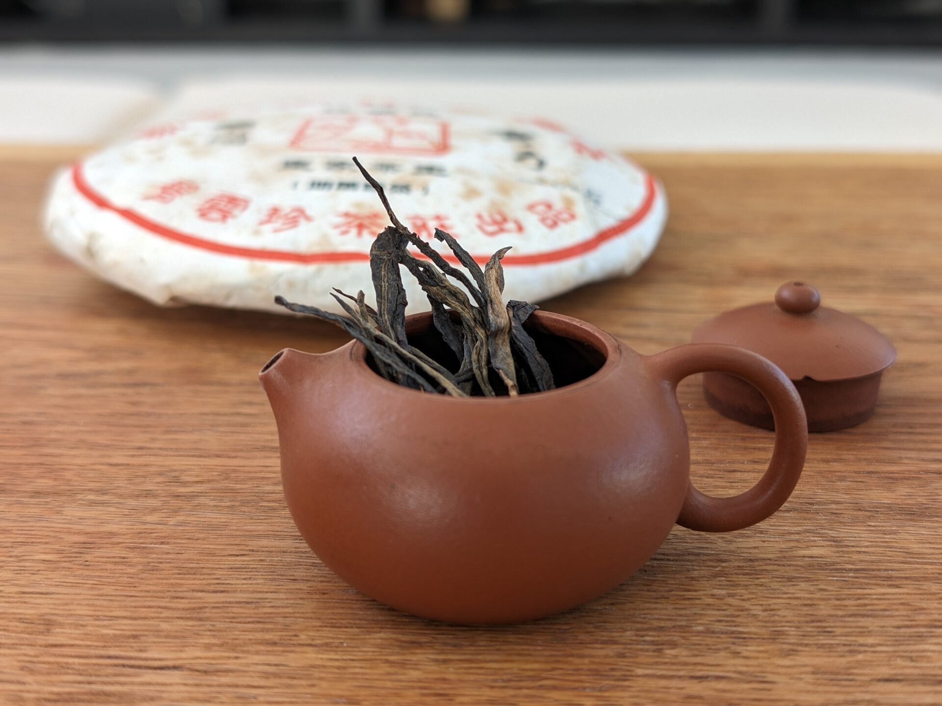 2017 Bi Yun Hao Wangong Gaogan Gushu