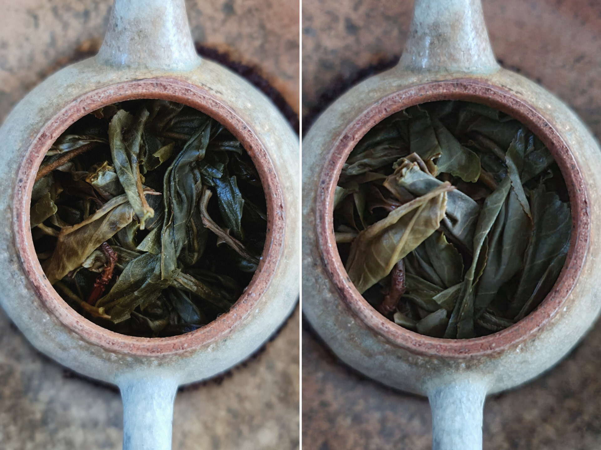 2015 Jingmai Gushu (FL)