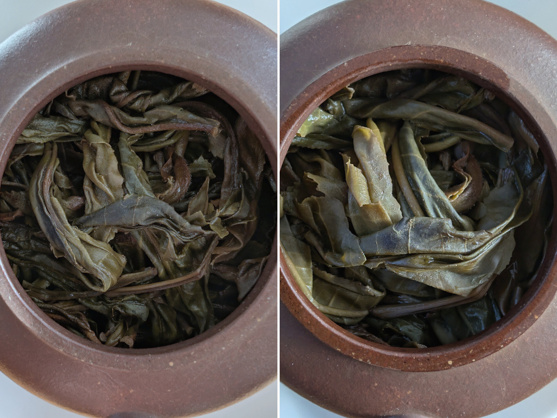 2025 Chenyuan Hao Found Leaves