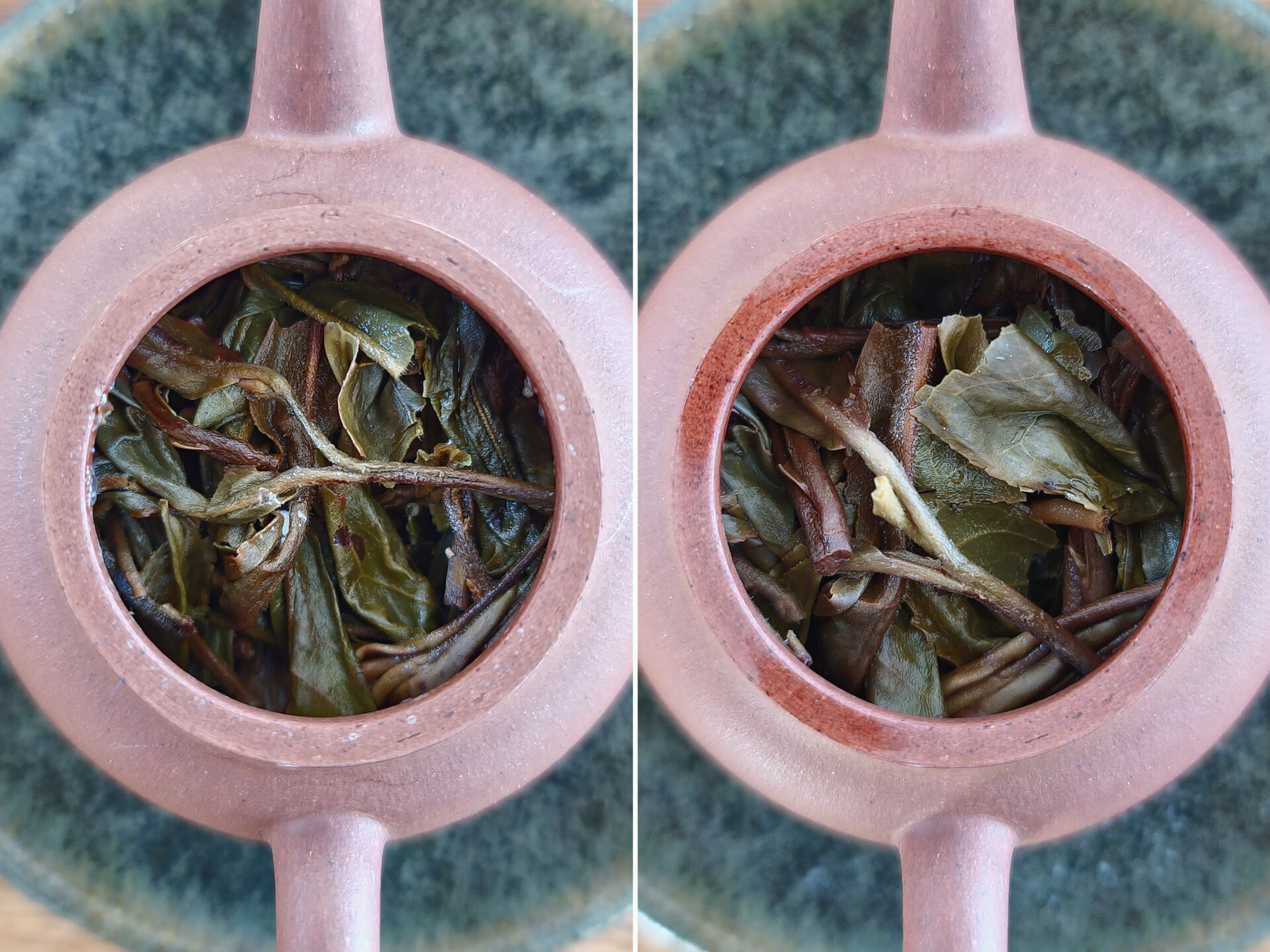 2019 Chenyuan Hao Bai Cha Yuan