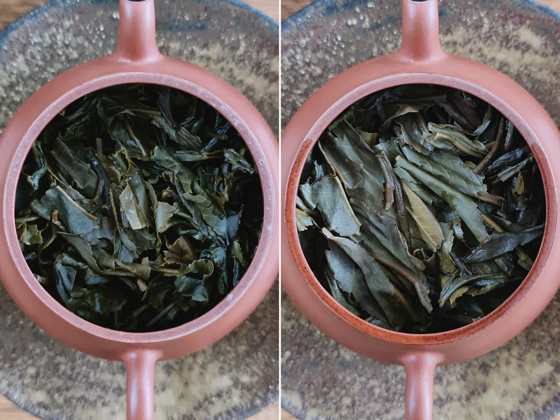 2006 Bulang Shan Qiao Mu Gu Shu Cha