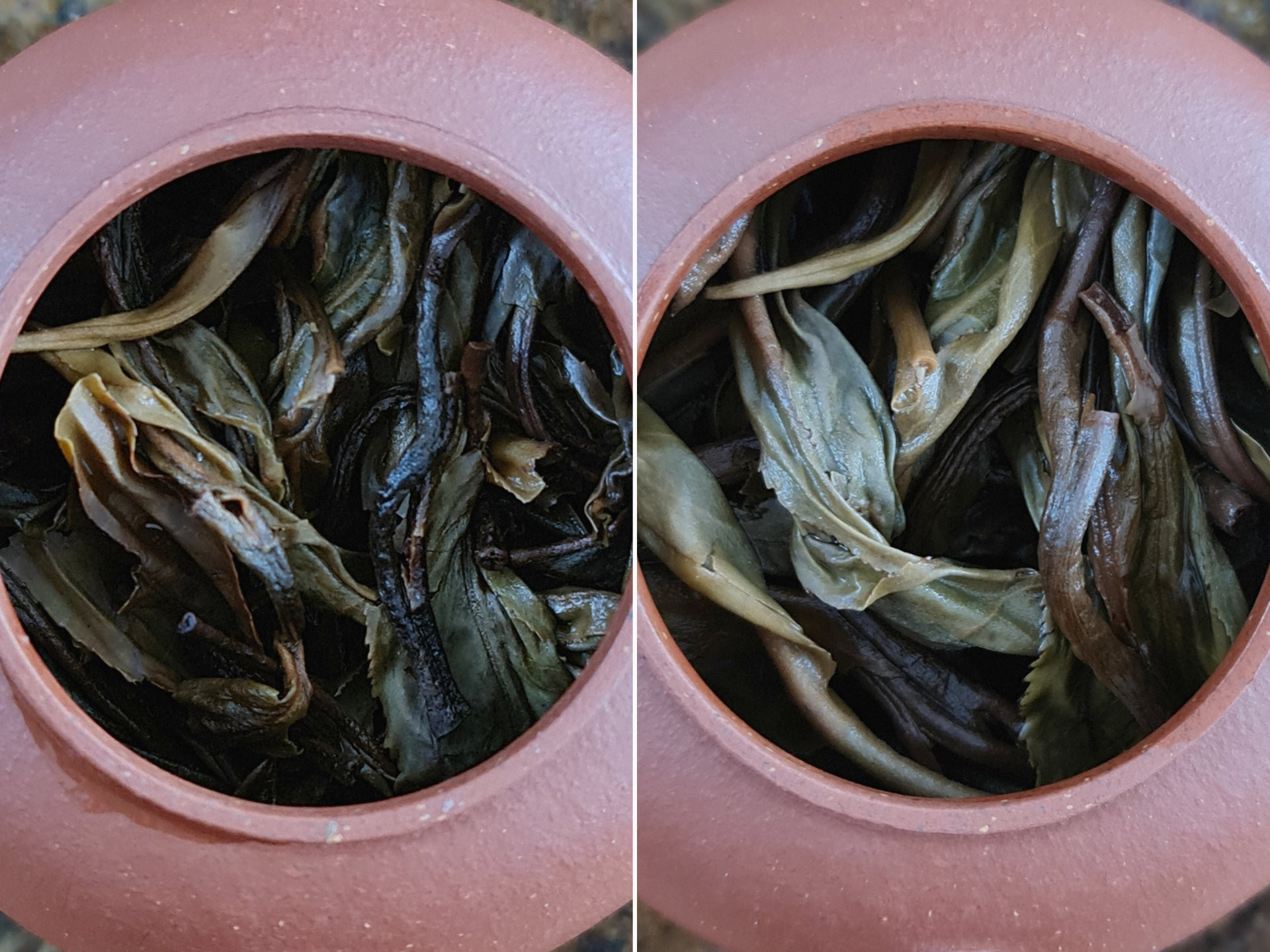 2016 Chafang Lao Cha V2 (prSK)