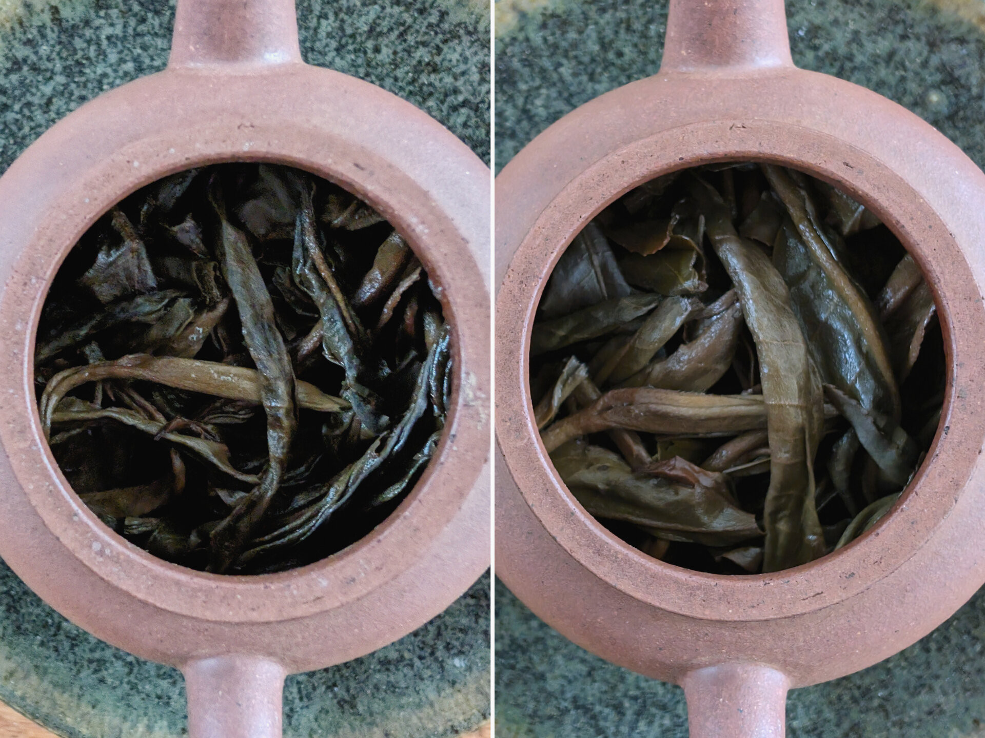 2019 Bi Yun Hao Mahei Dahei Senlin Guoyoulin Gaogan Gushu