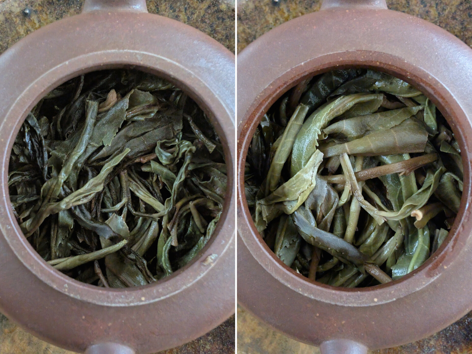 2025 Chenyuan Hao Cha Wang Shu