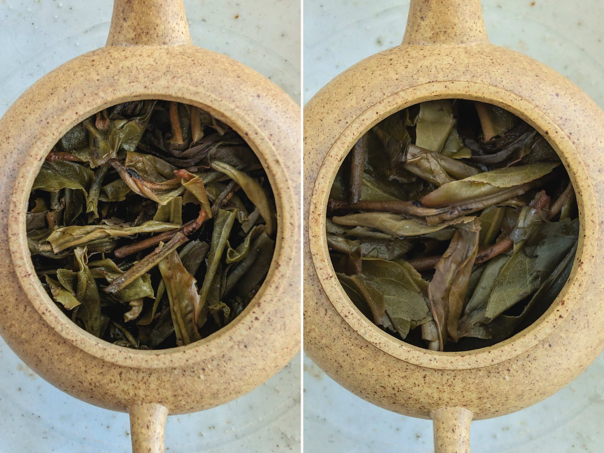 2023 Chawangshu (EoT)