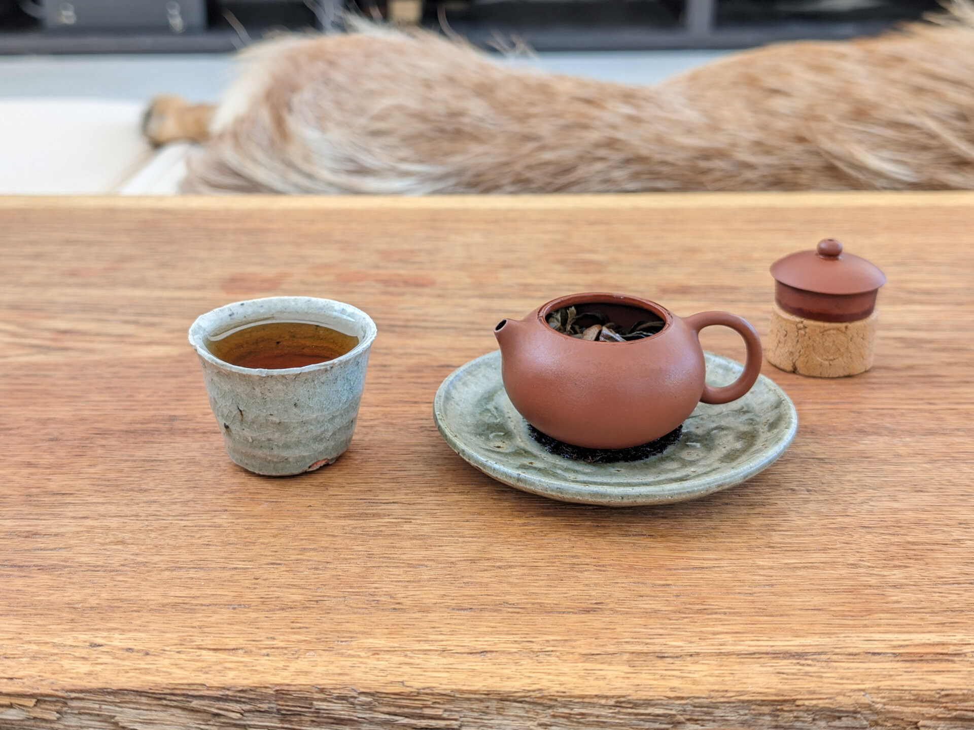 2017 Bi Yun Hao Wangong Gaogan Gushu