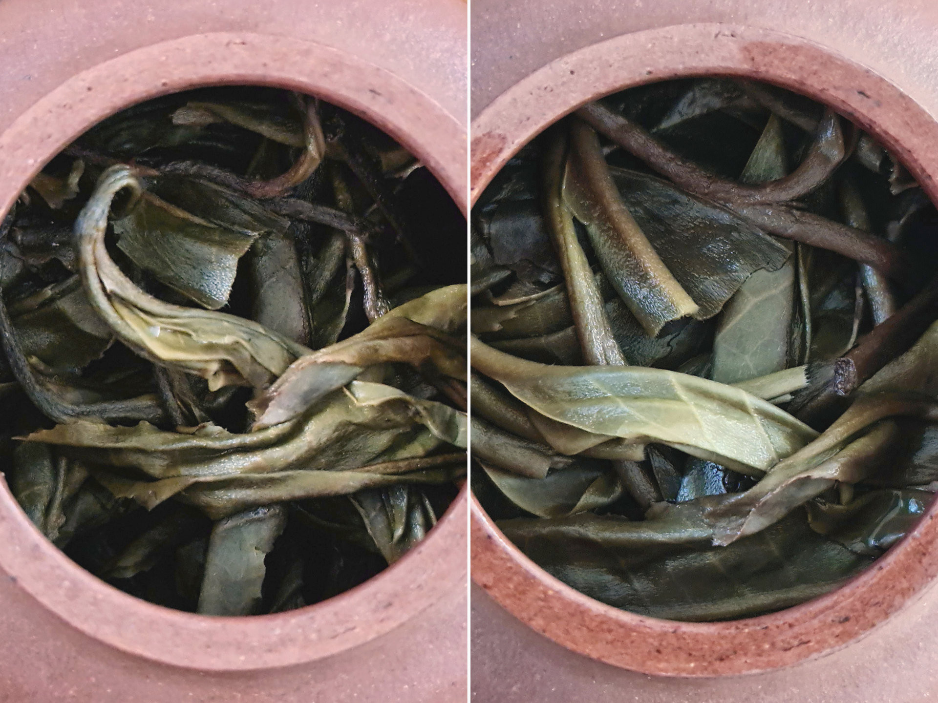 2019 Xi Kong (TU)