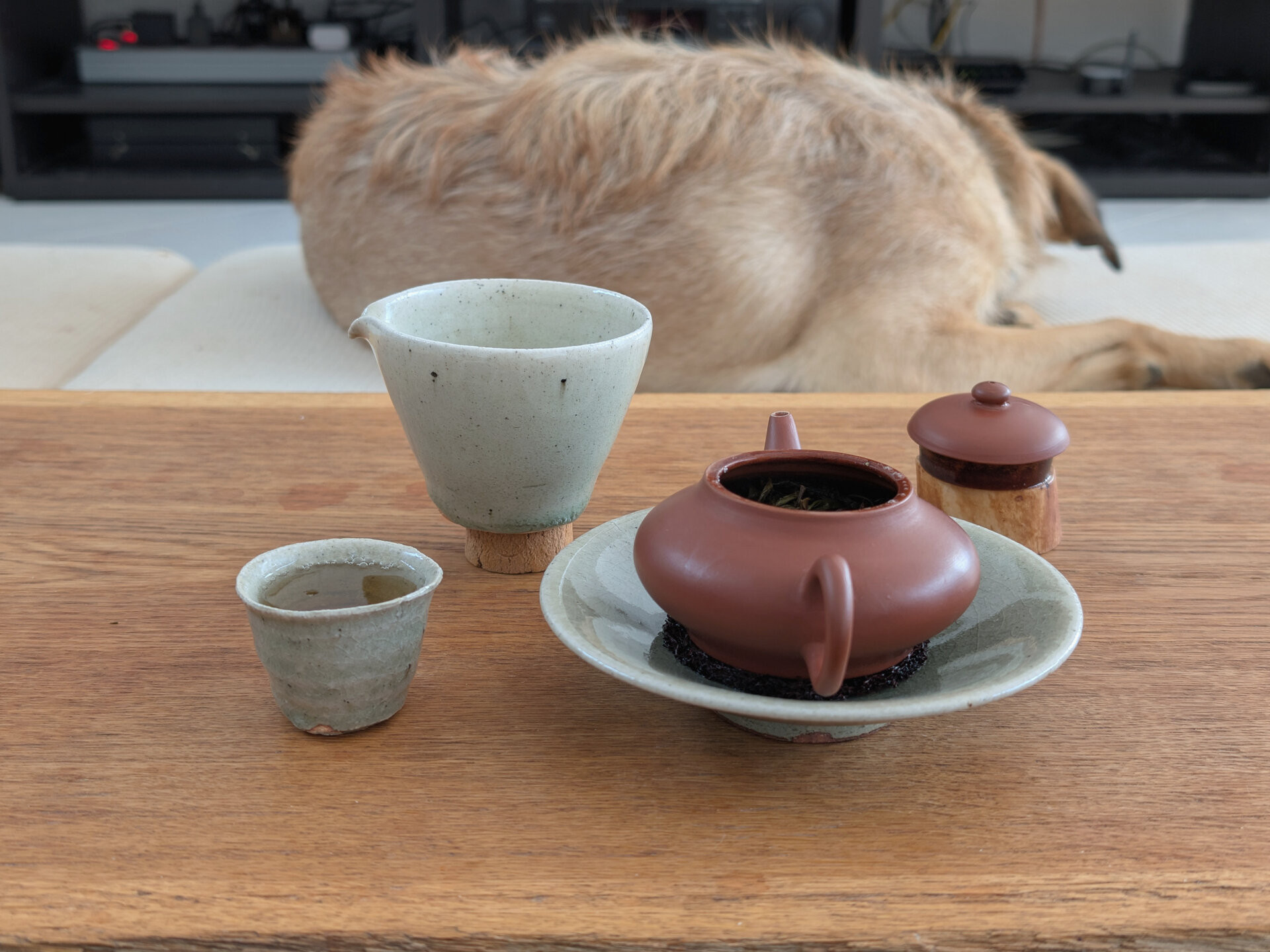 2022 Rocket Mountain Single Tree Maocha (EoT)