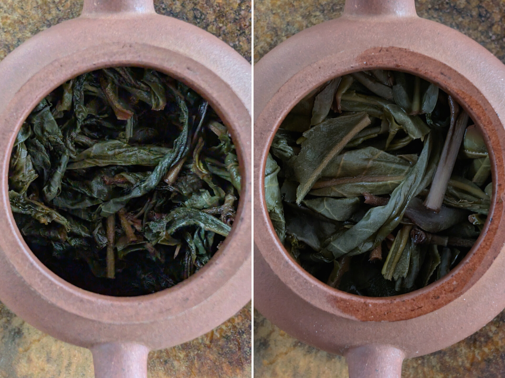 2024 Chenyuan Hao Jipin Gongcha
