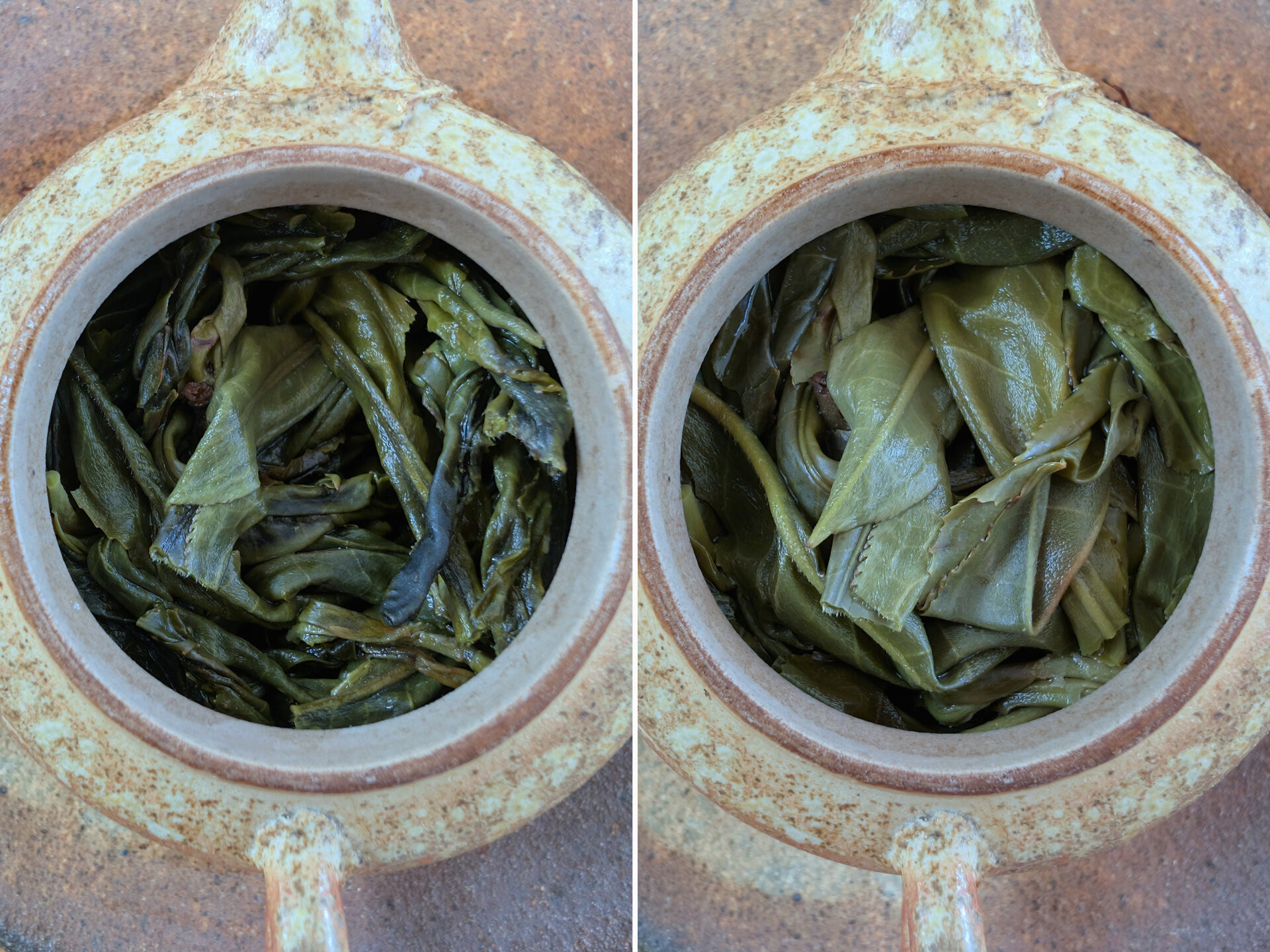2025 Laobanzhang Dominant vs Elegant vs Danzhu (prUK)