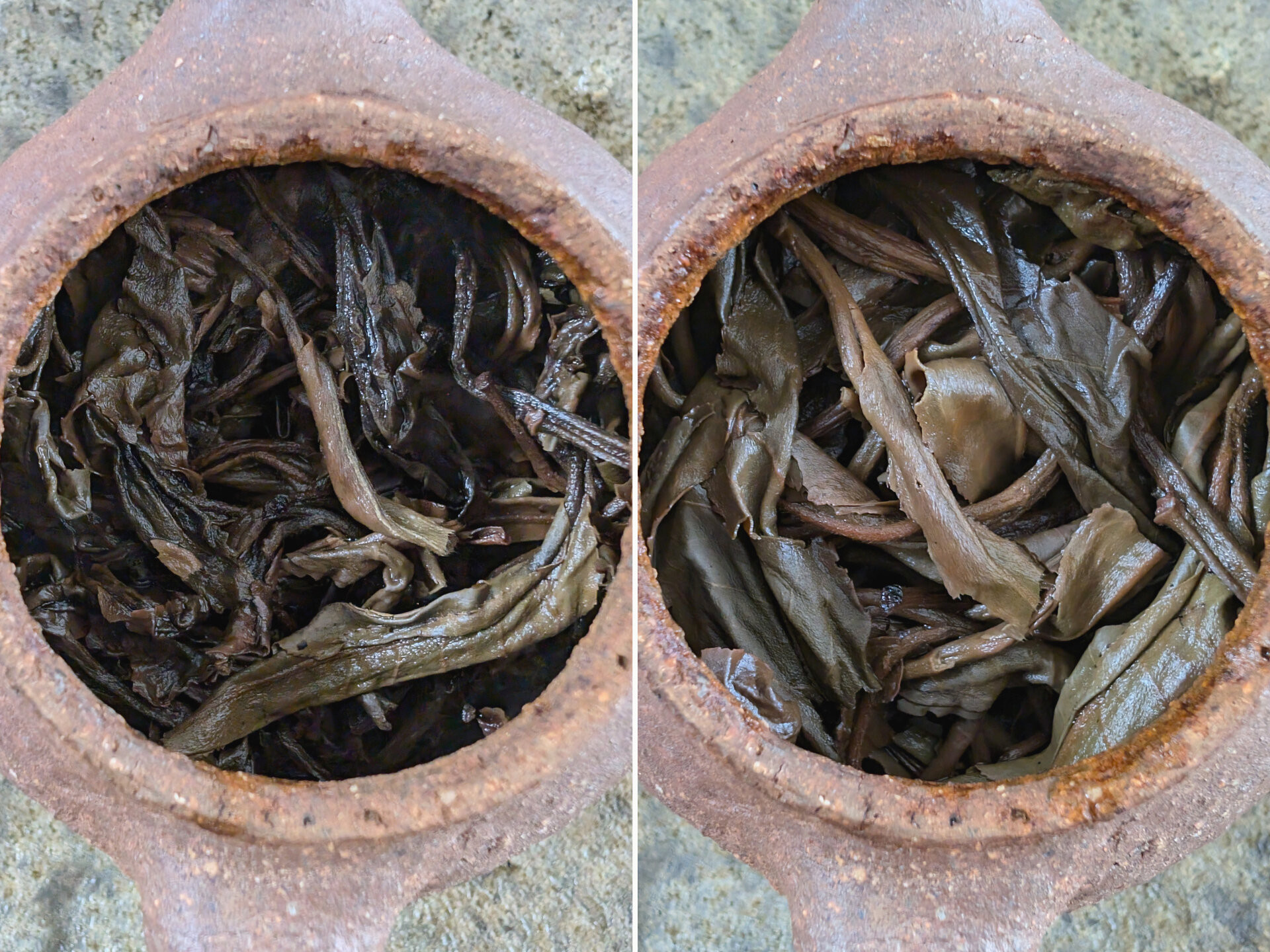 2012 Chenyuan Hao Cang Feng