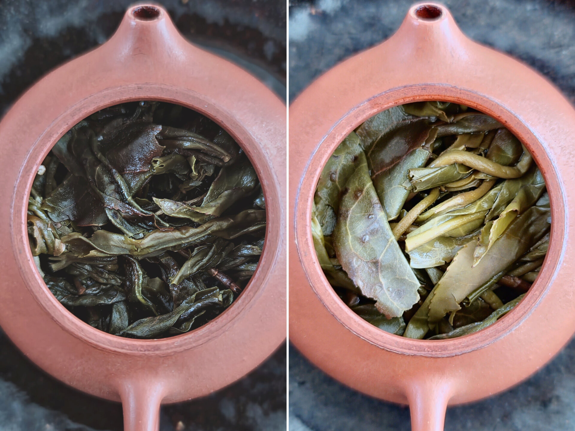 2021 Bai Cha Yuan (Yu)