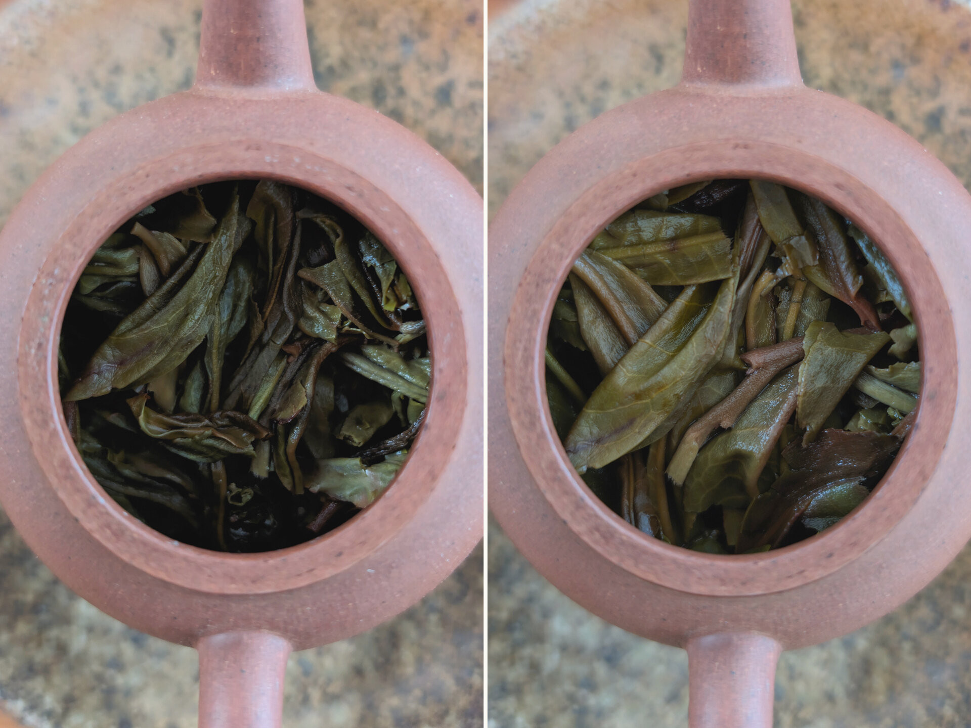 2023 Chenyuan Hao Tianmenshan