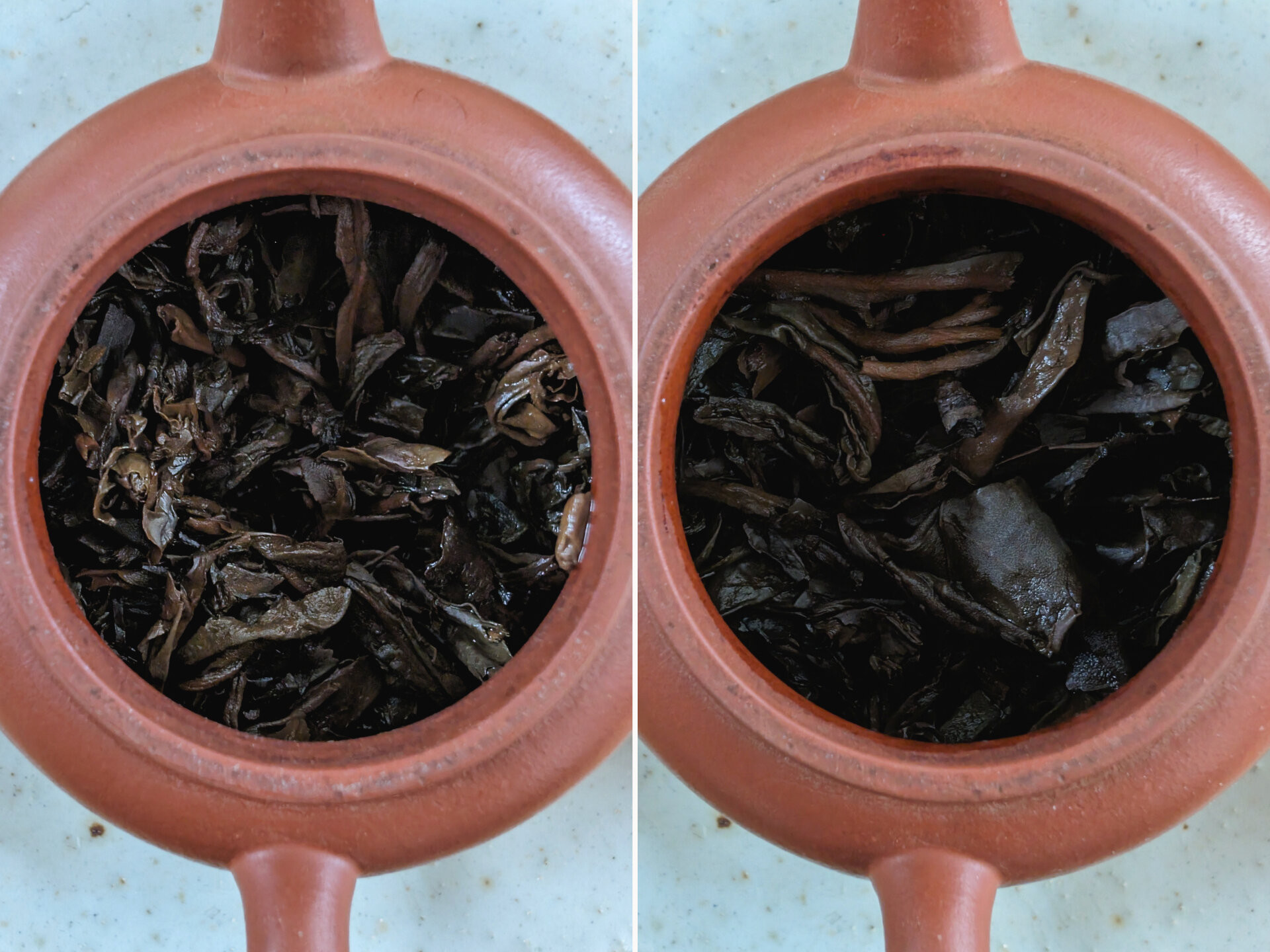 2001 Chenyuan Hao Yiwu Pure Gushu