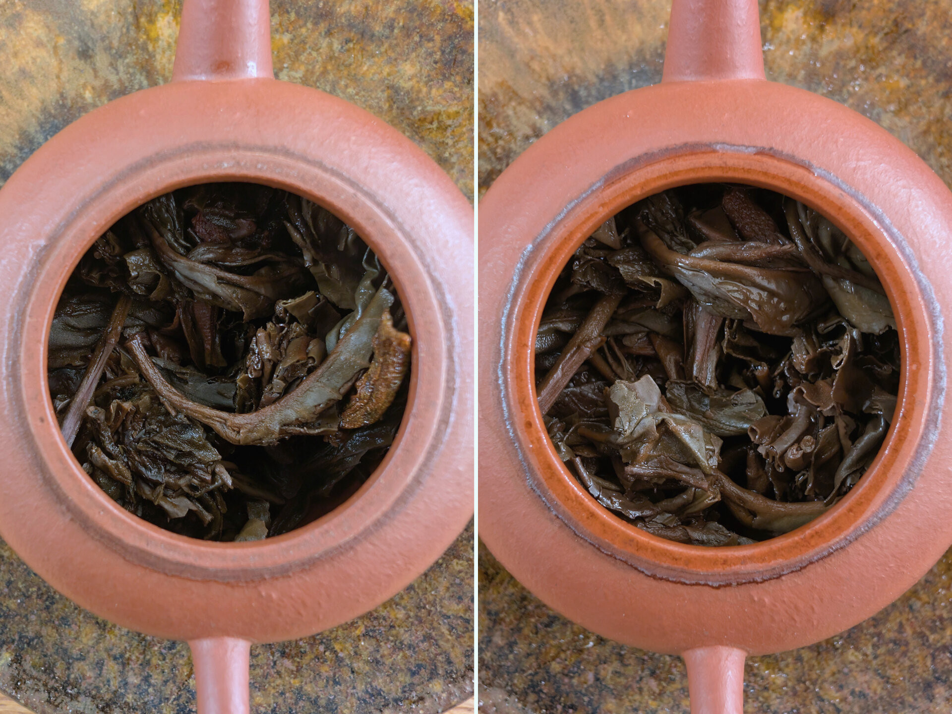 2006 Lao Banzhang (vs. 2005 Version)