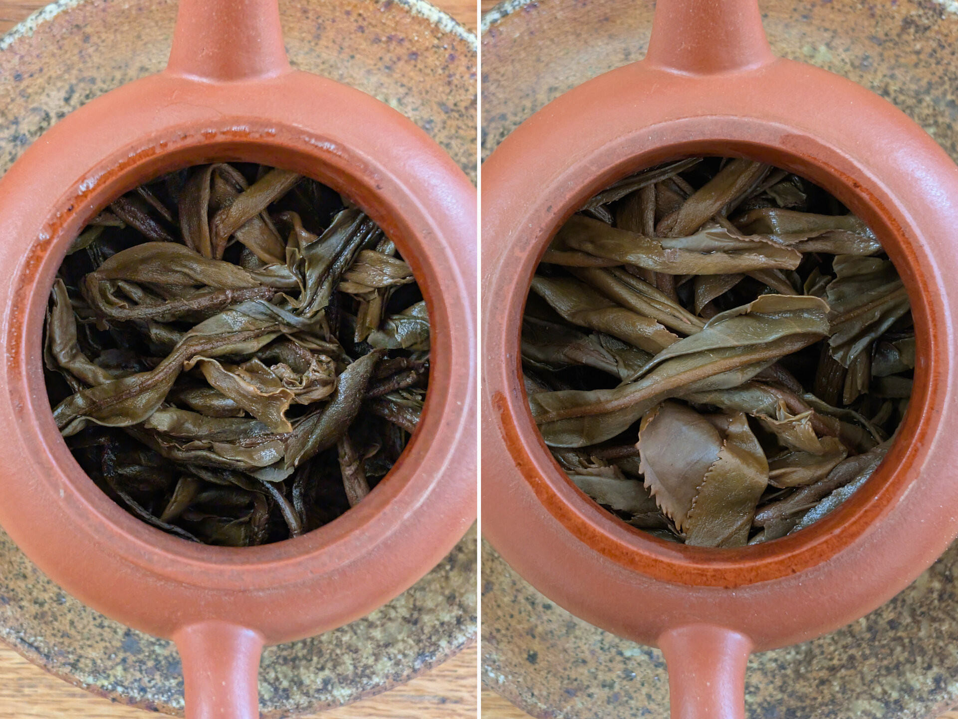 2012 Auspicious Senlin Yun Yishanmo