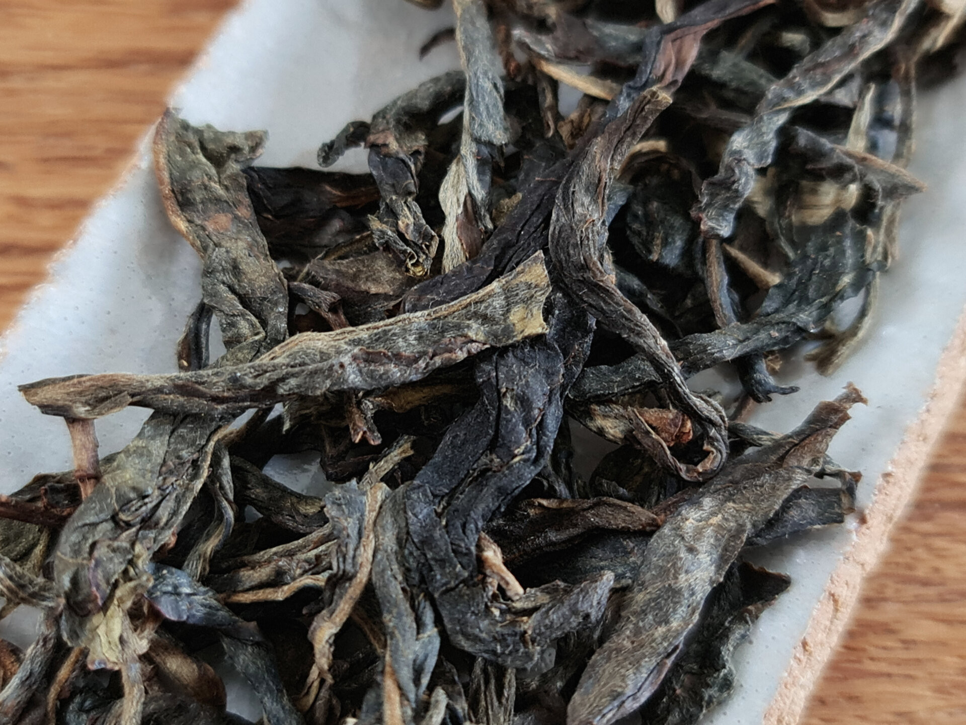 2019 Chenyuan Hao Luo Shui Dong