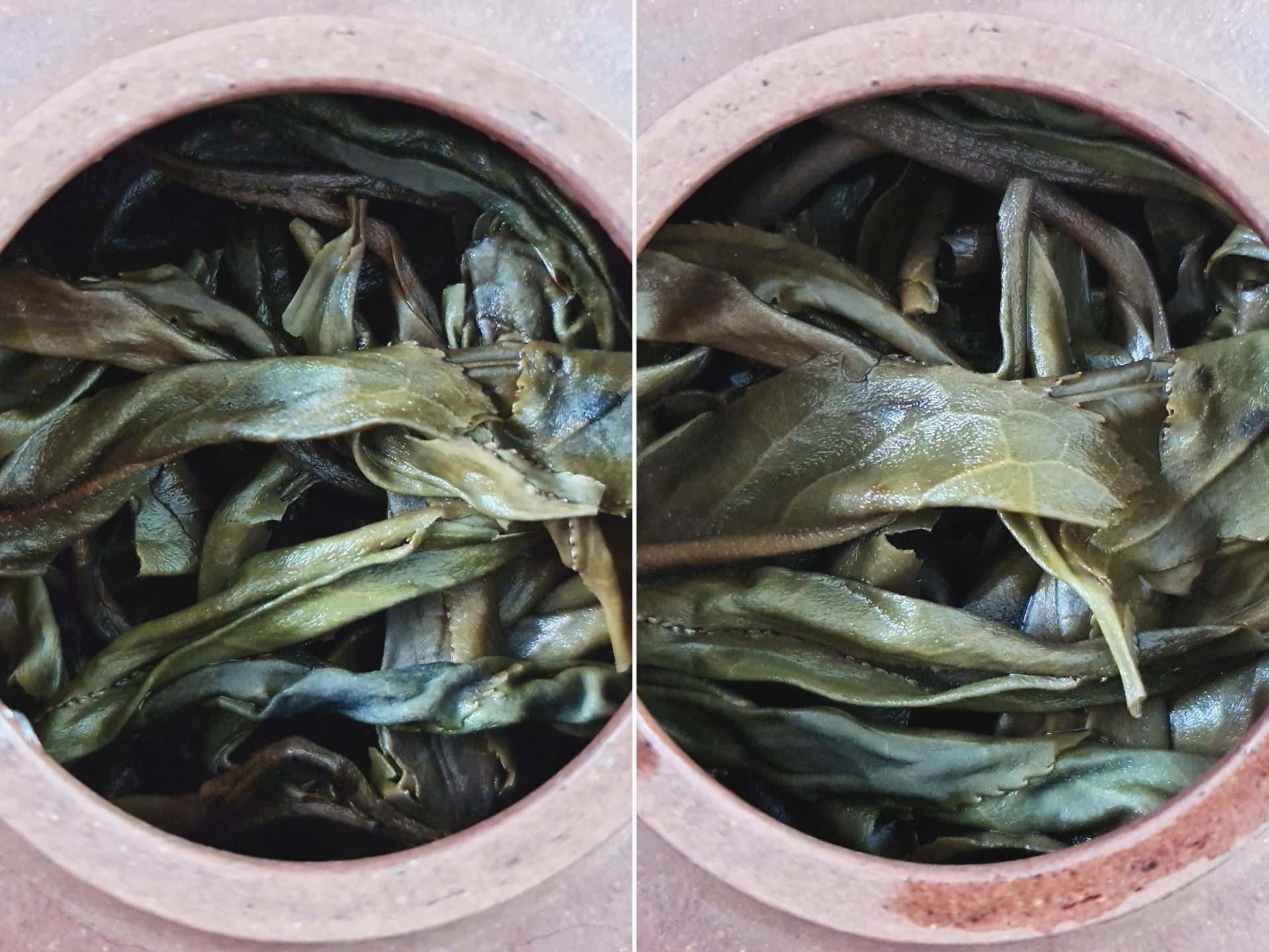 2016 Chafang Lao Cha (prSK)