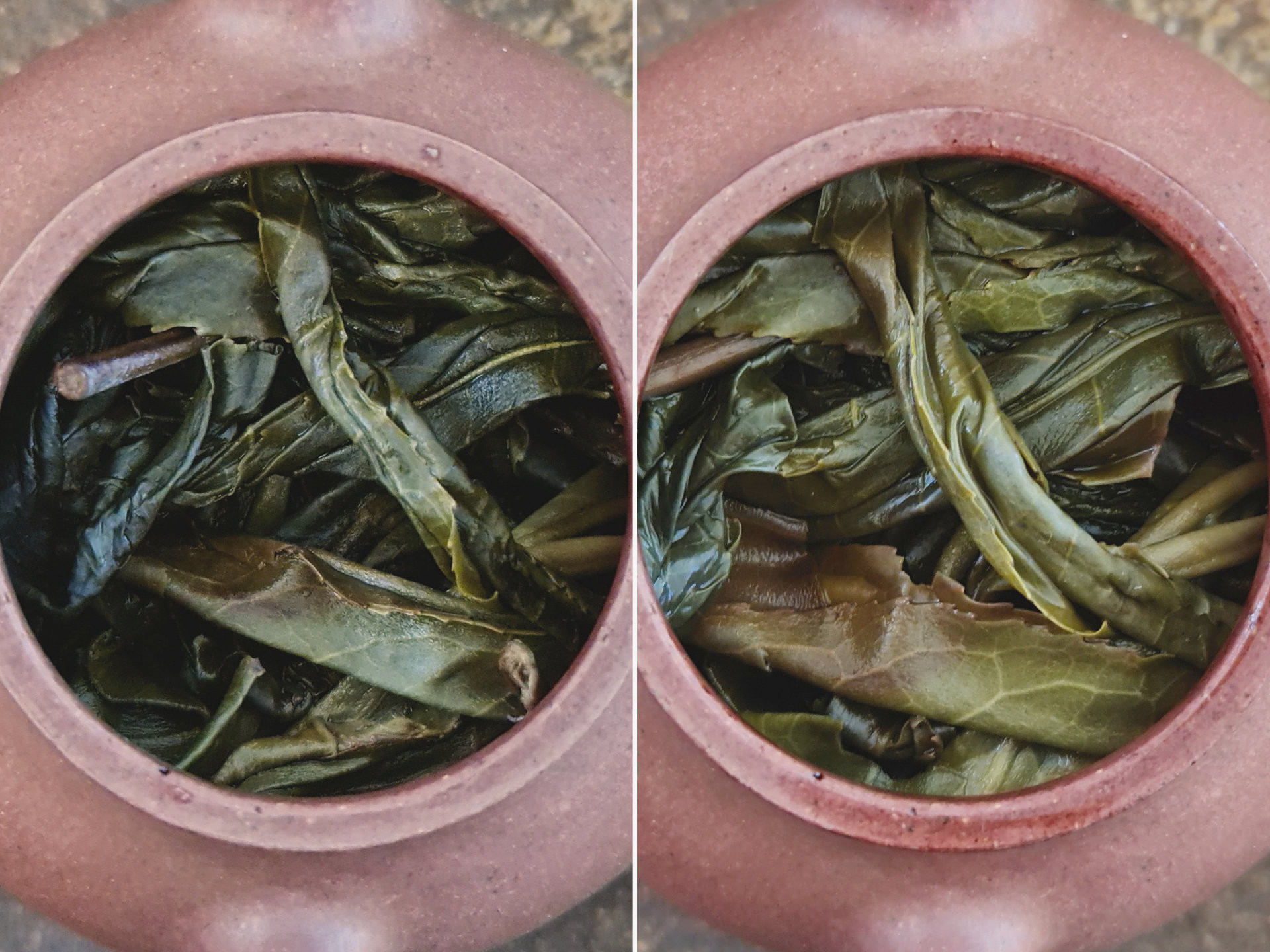 2021 Bai Cha Yuan Gushu (Yu)