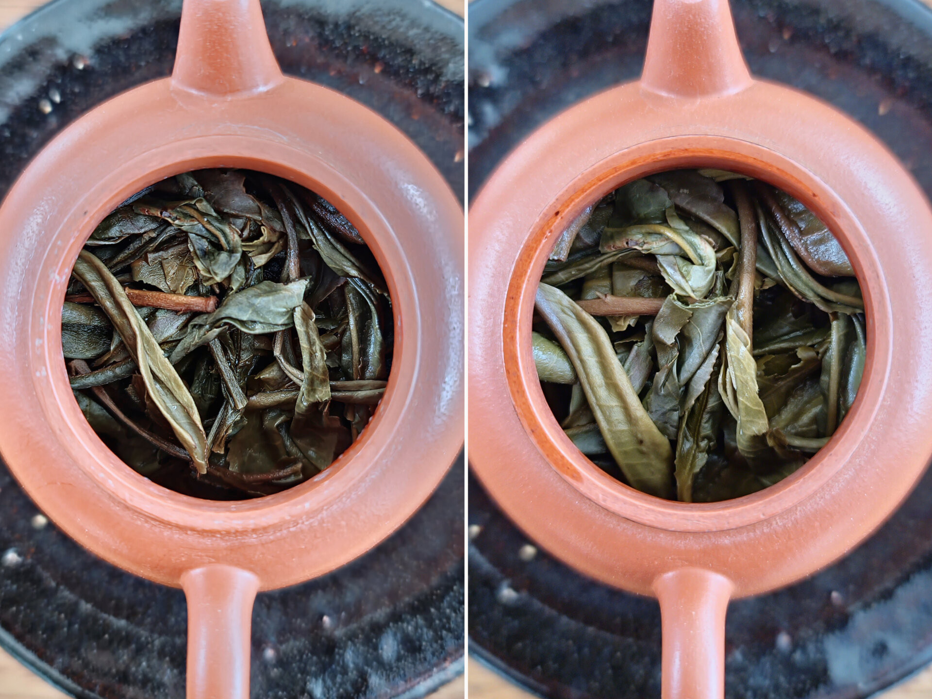 2019 Chenyuan Hao Chawangshu