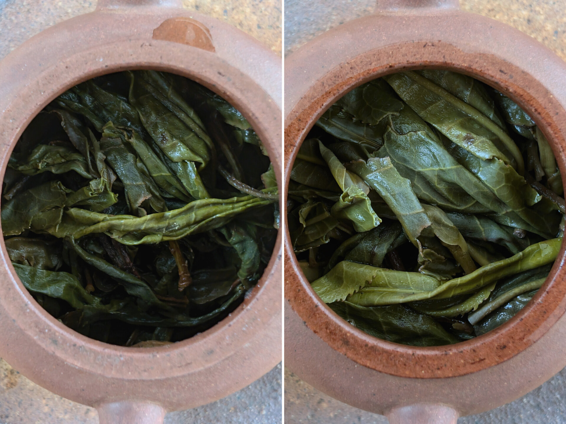 2024 Chenyuan Hao Yibang