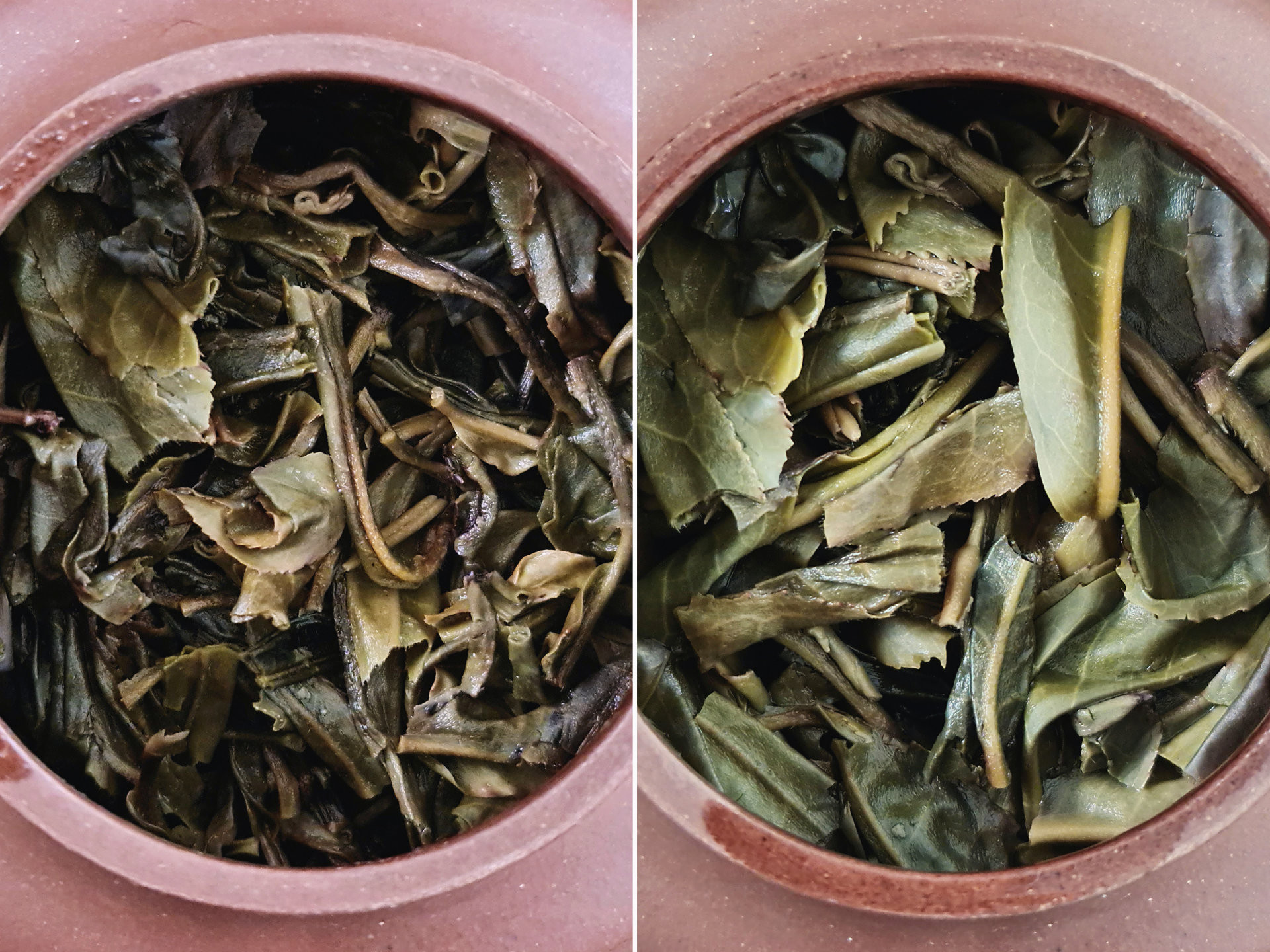 2019 Yi Bang (TU)