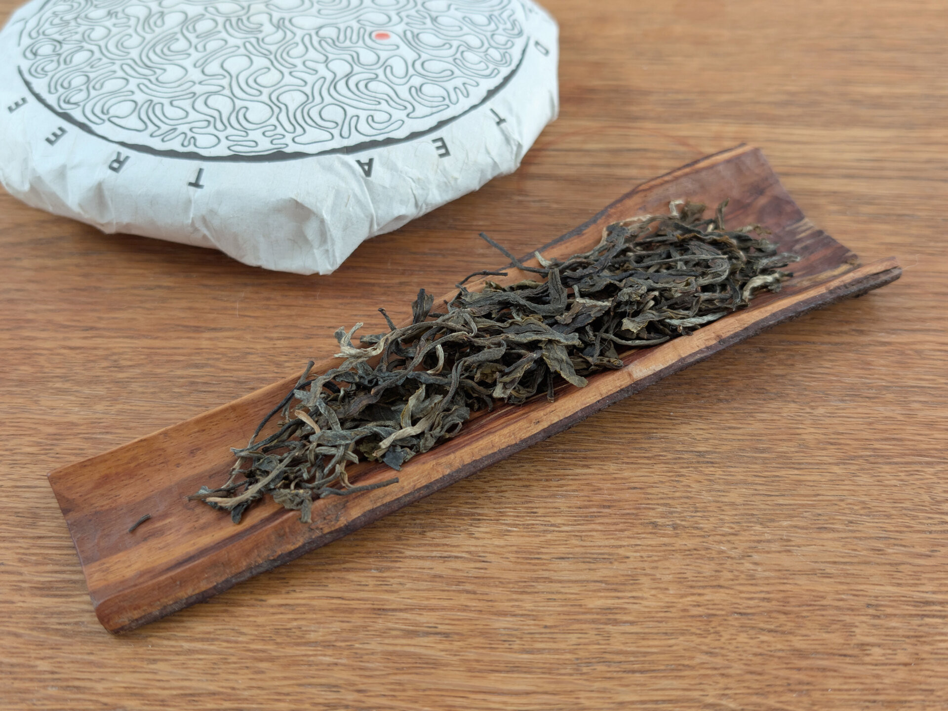 2024 970 years old tea tree (prSK)