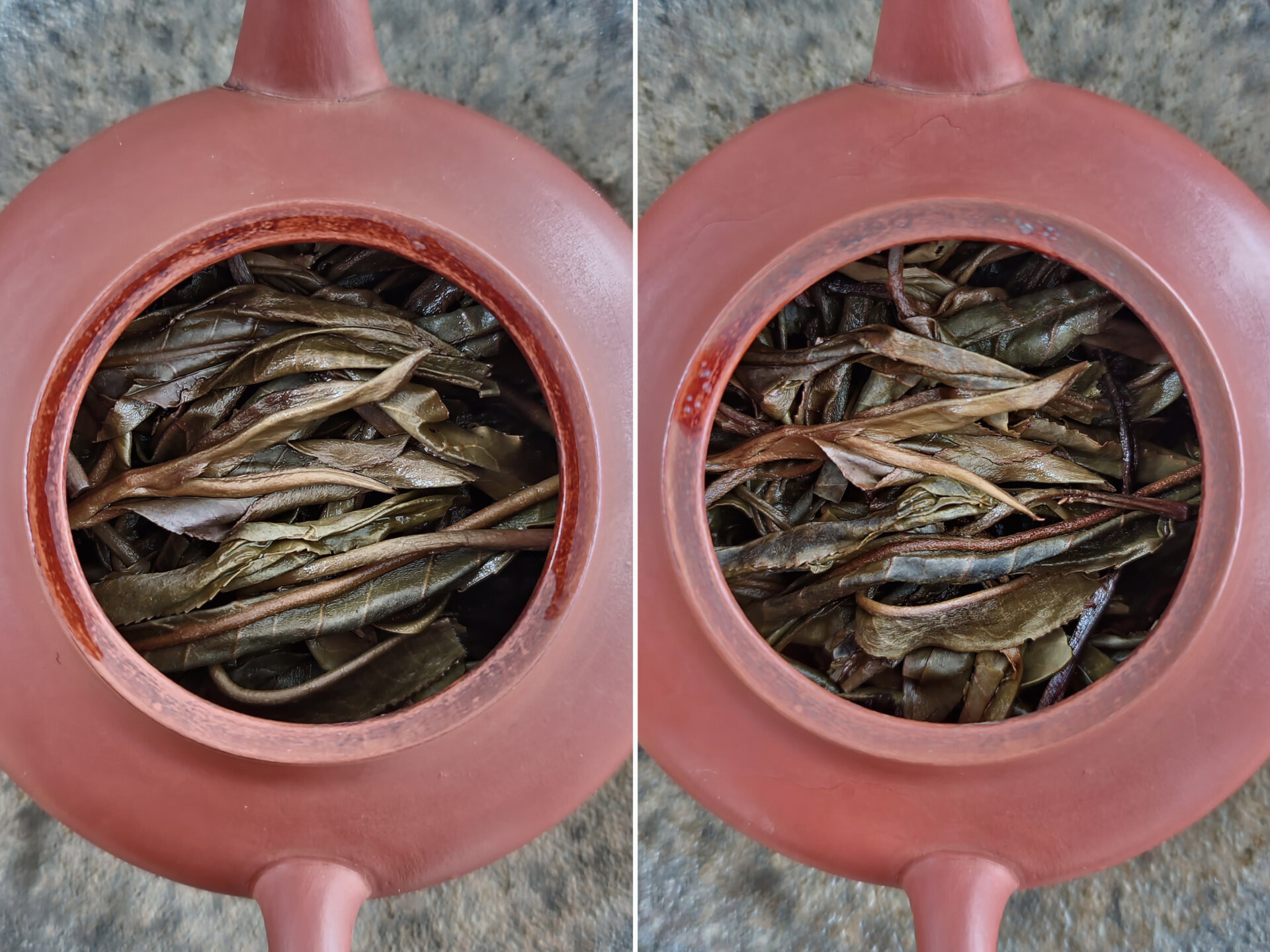 2018 Lao Mansa Single Tree