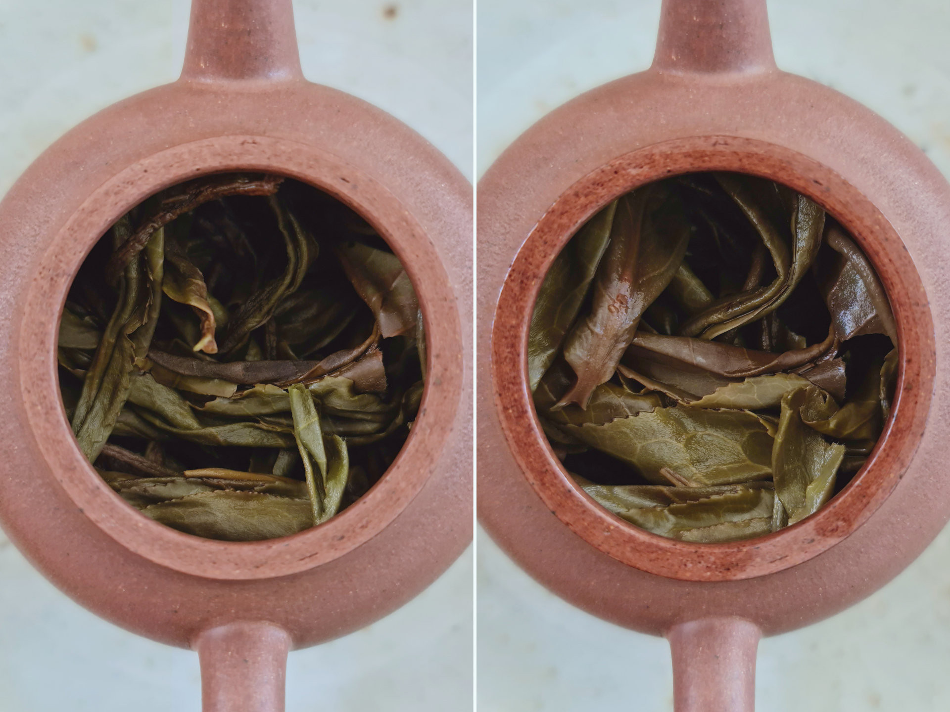 2020 Leida Shan Gushu Maocha (TMcz)