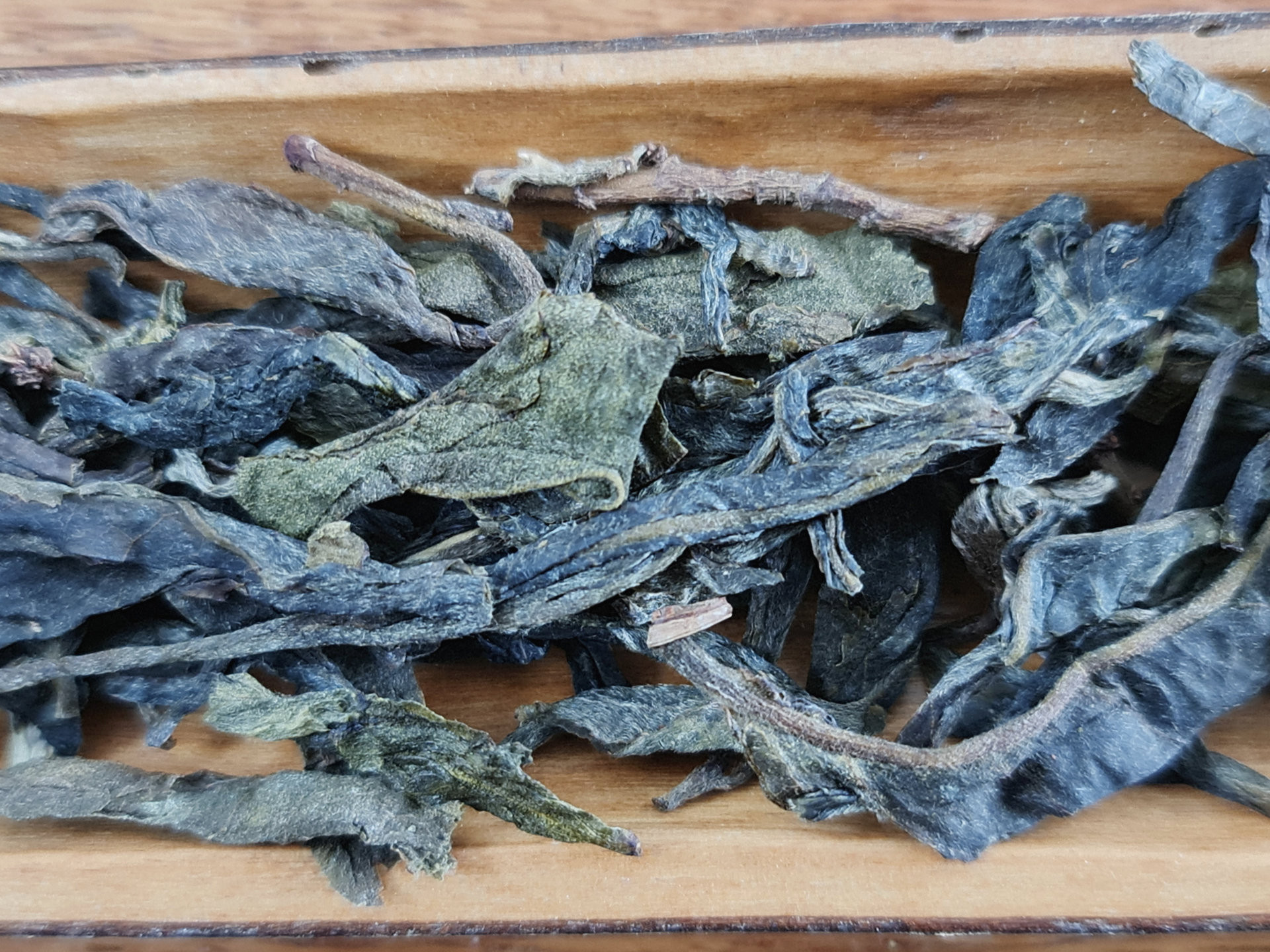 2019 Xiao Jinggu Gushu (TMcz)