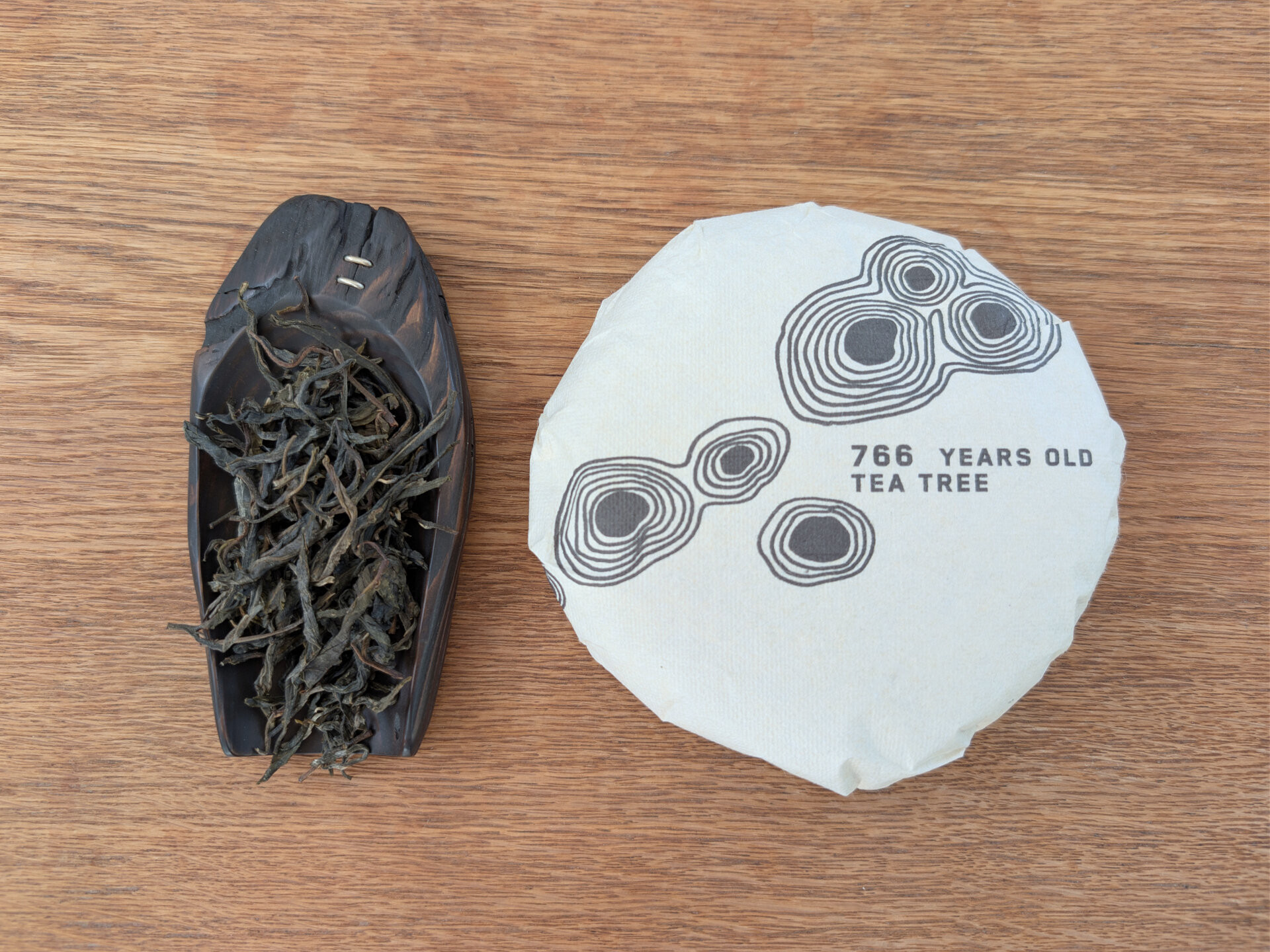 2026 766 years old tea tree (prSK)