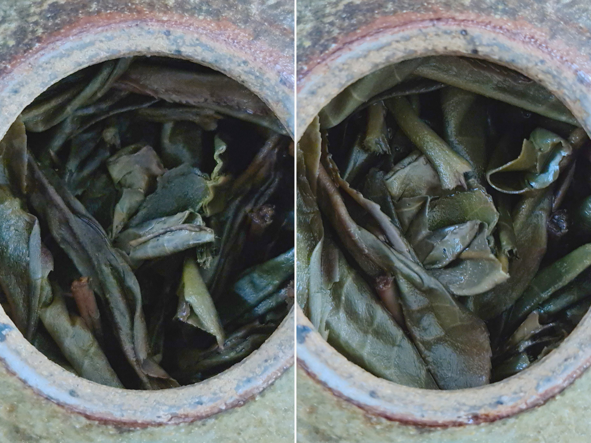 2013 KuZhu Shan Gushu