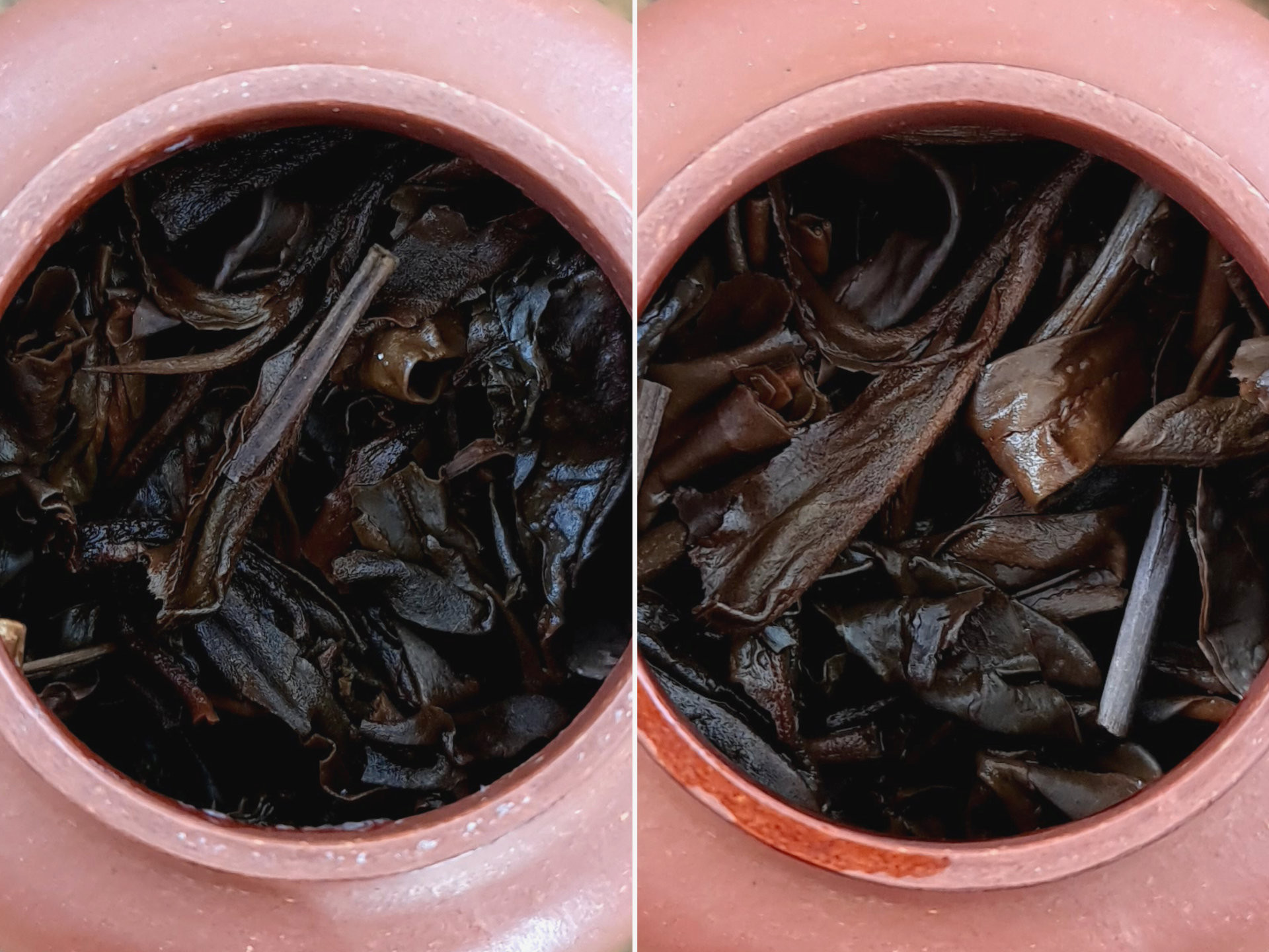 2005 Yiwu Shan "Tong Qing Hao"-Style