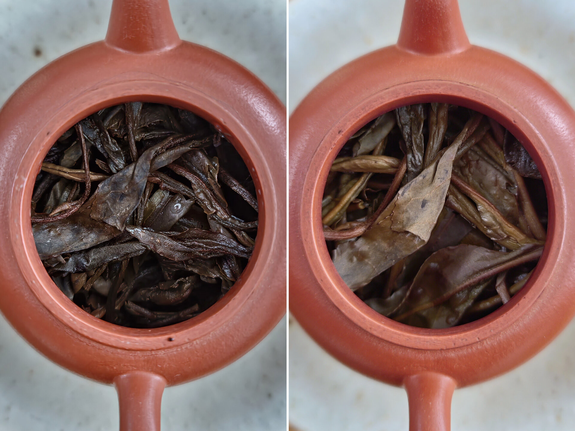 2016 Gold Mark Gua Feng Zhai