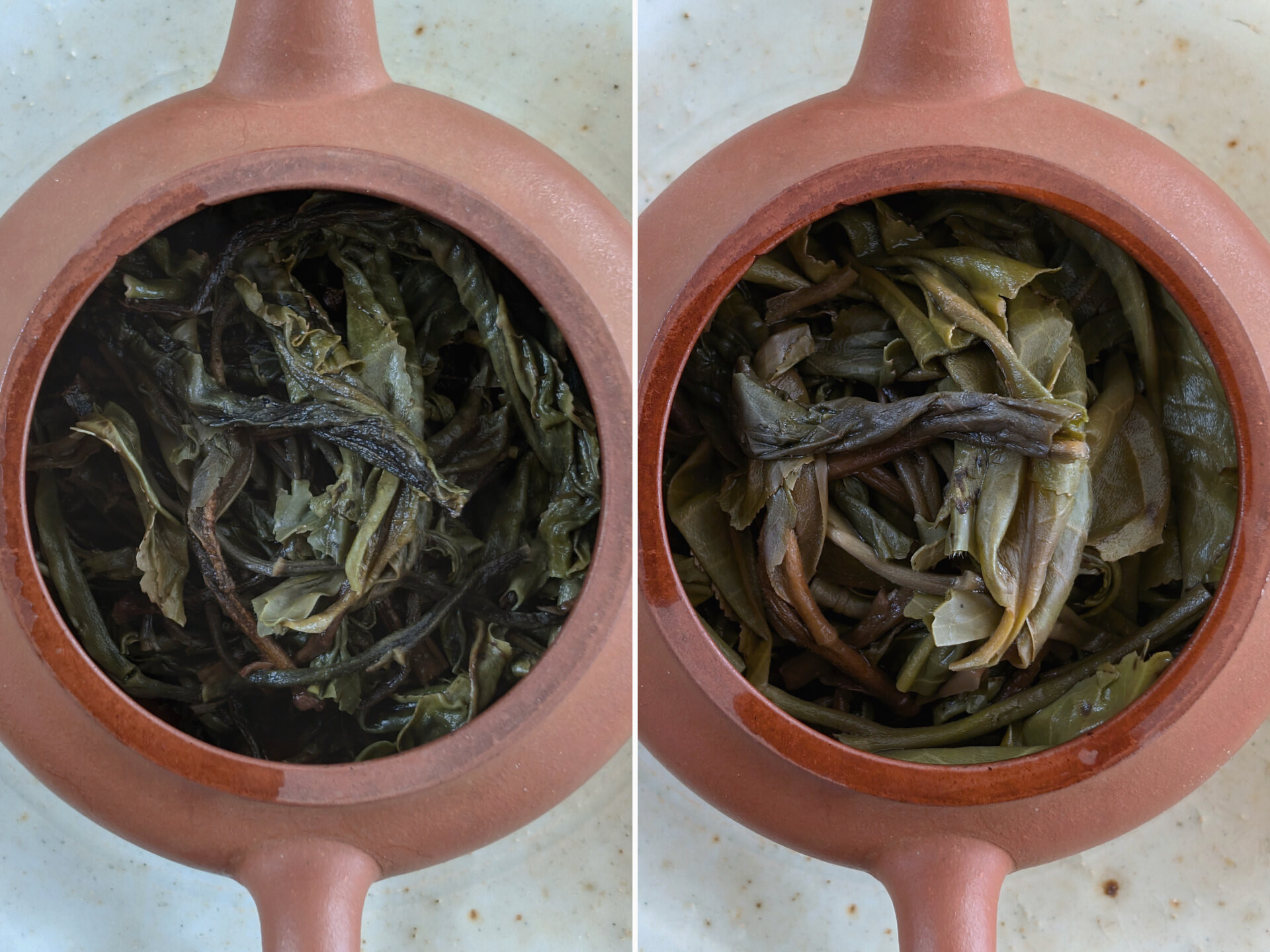 2024 Chenyuan Hao Chawangshu