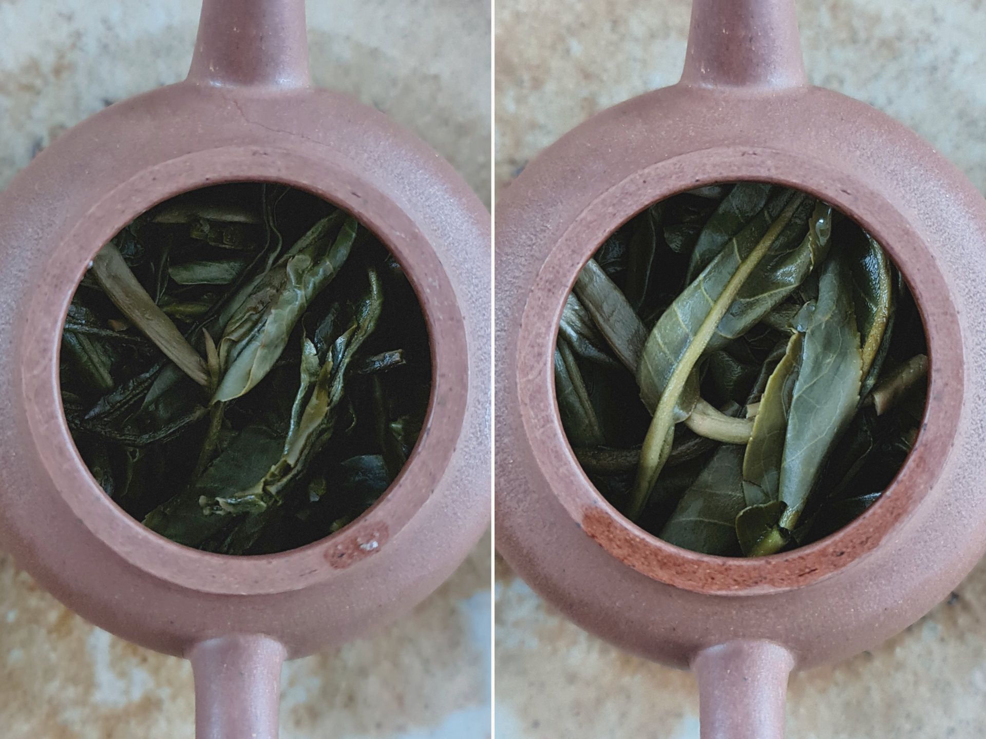 2021 Mengsong Nanben Gushu (TMcz)