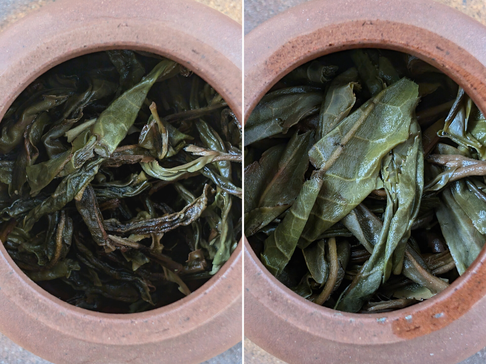 2023 Chenyuan Hao Yibang
