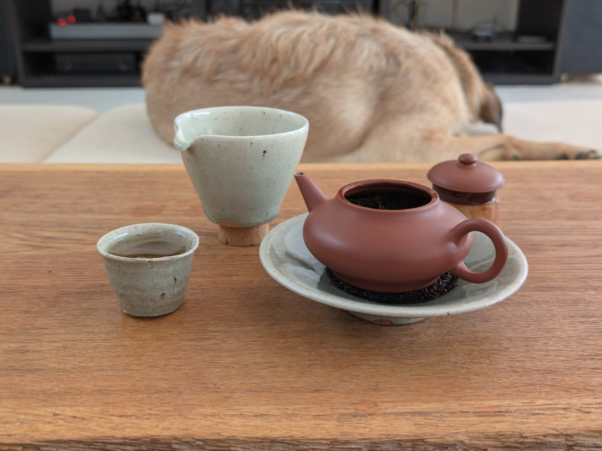 2022 Rocket Mountain Single Tree Maocha (EoT)