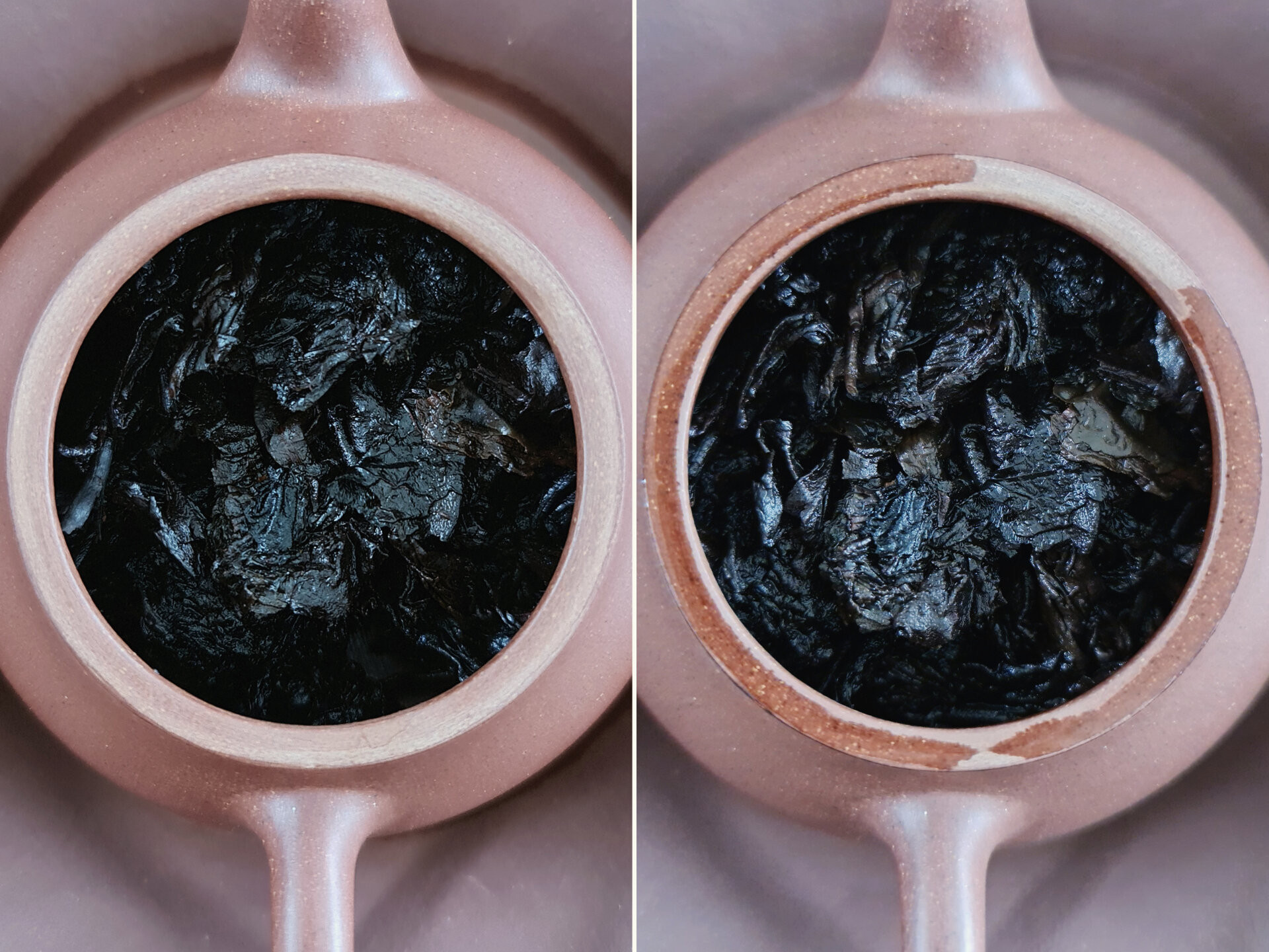 2008 Xi Zi Hao Menghai Shu