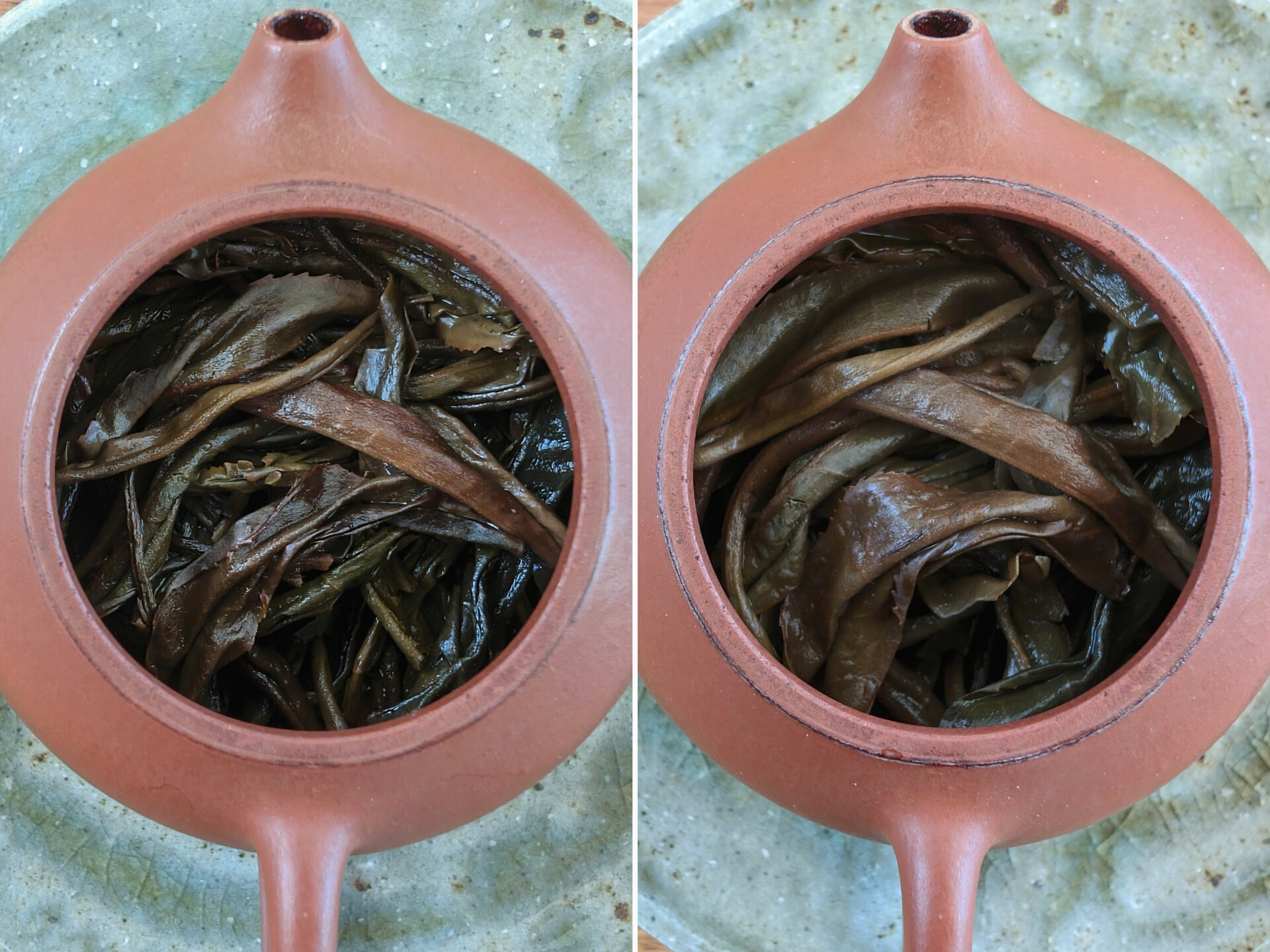 2017 Bi Yun Hao Wangong Gaogan Gushu